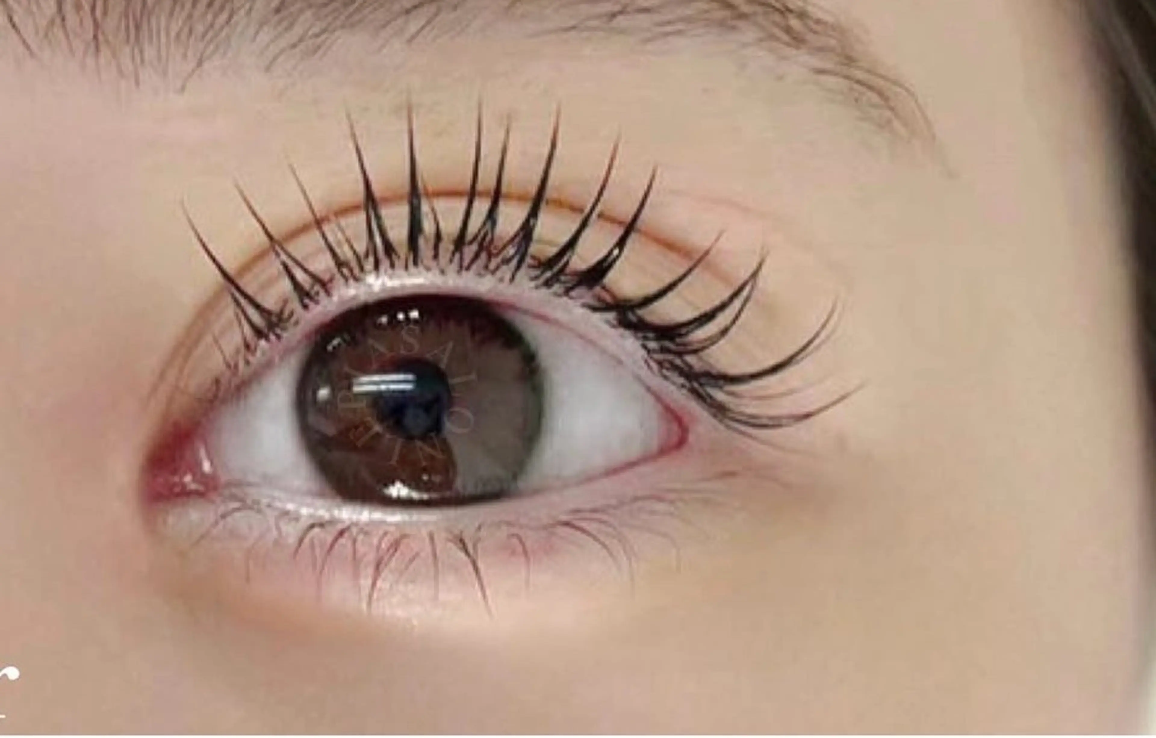 選べるまつ毛パーマ（トリートメント付）/パリジェンヌ/カール/立ち上げ/韓国風の写真