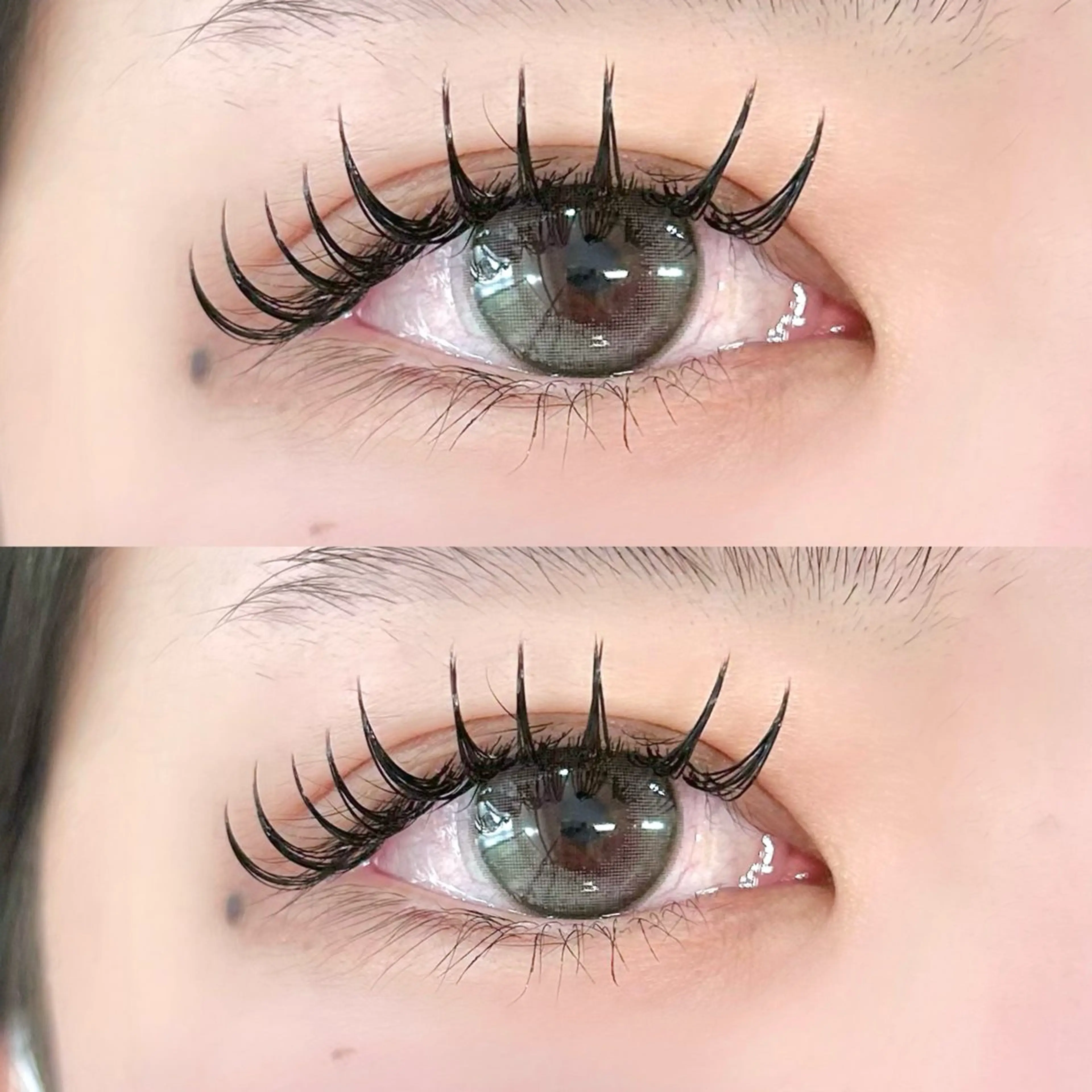 マツエク・マツパ Dカール マツエク Lucia 博多店［江里口］のマツエク・マツパデザイン