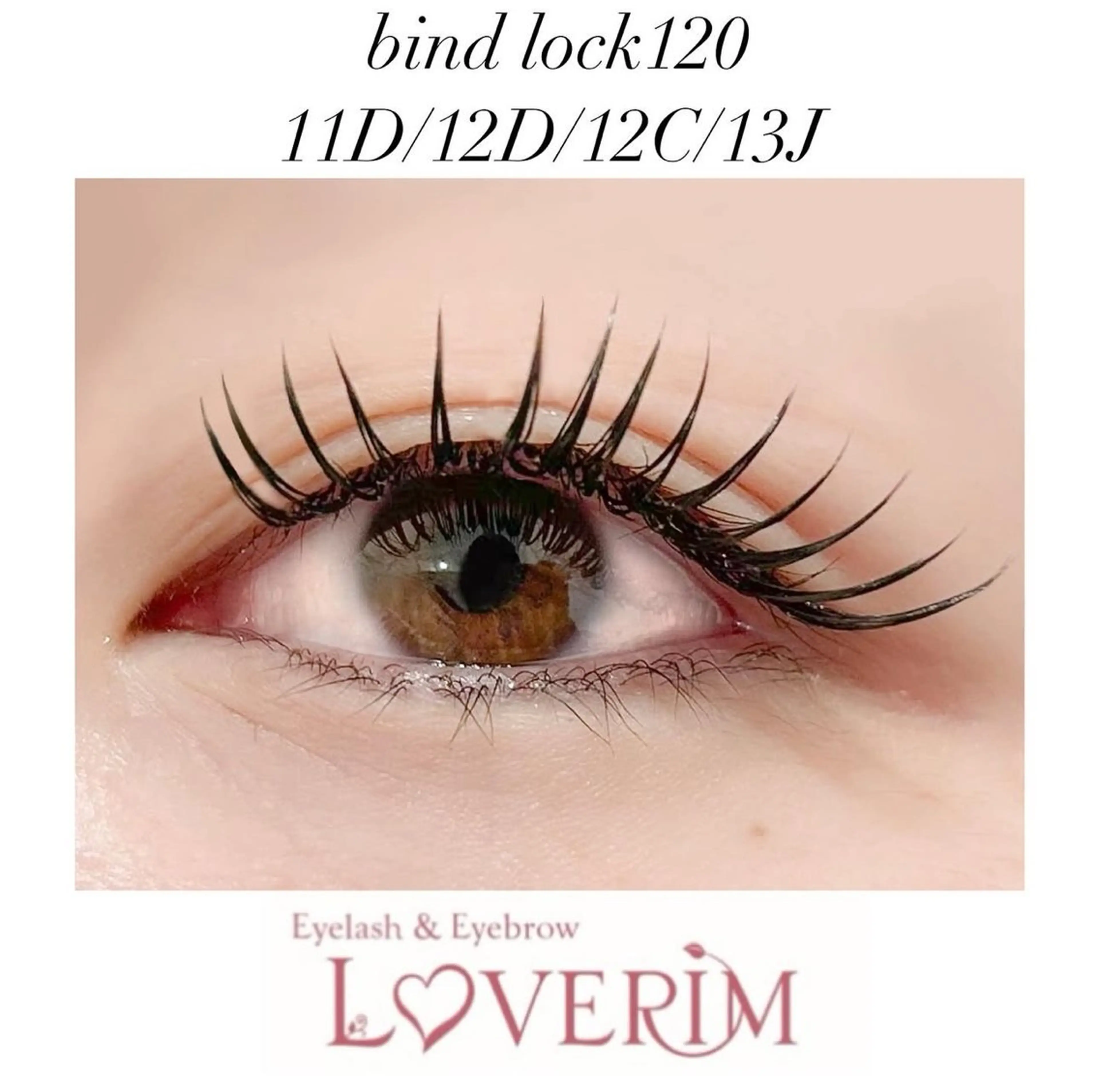 一日人数限定価格！！バインドロック120束（コーティング付き）の写真