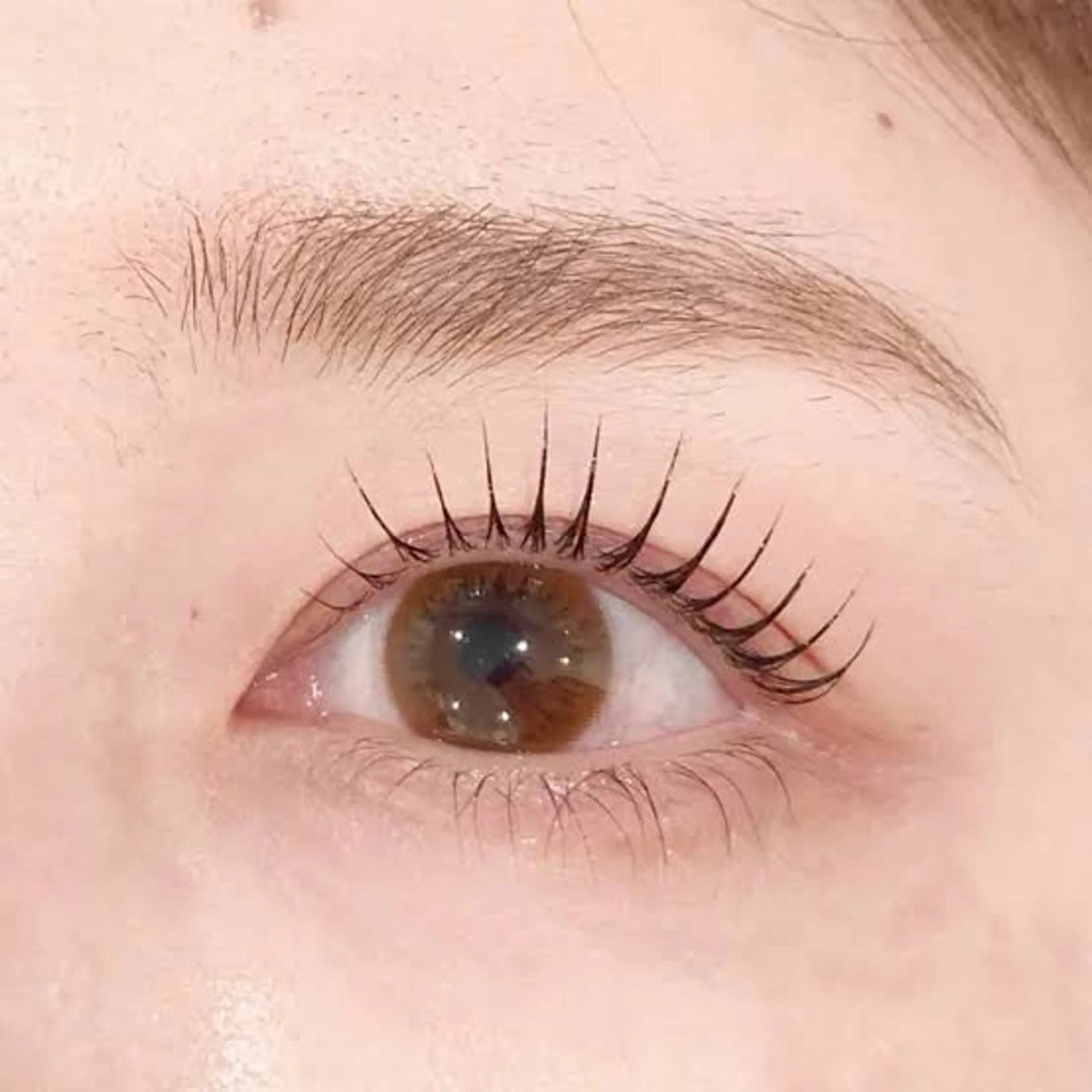 マツエク・マツパ マツパ まつげ＆眉毛CLEA 心斎橋YUKIの眉毛・アイブロウイメージ