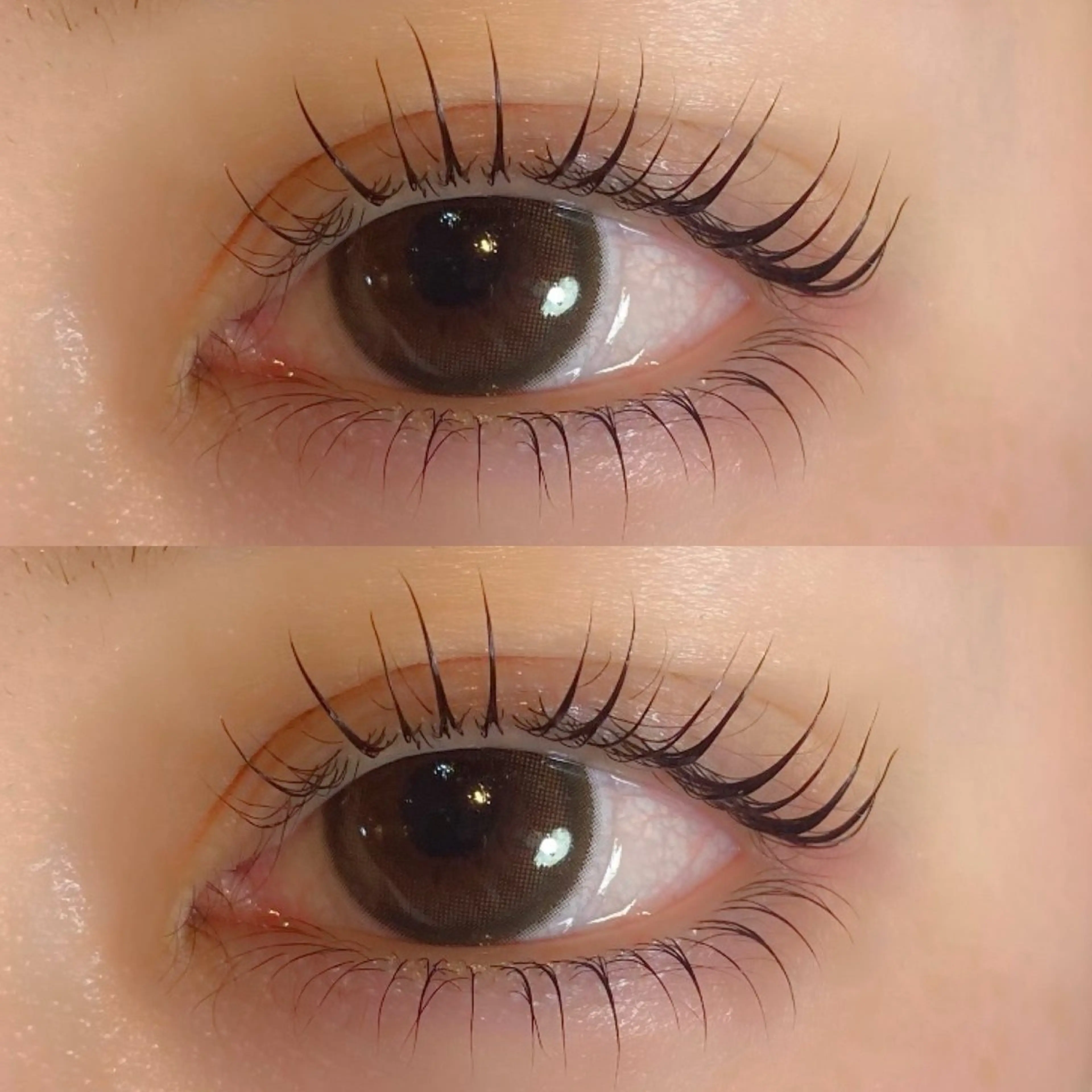 ✨初回限定✨まつ毛パーマ👀の写真