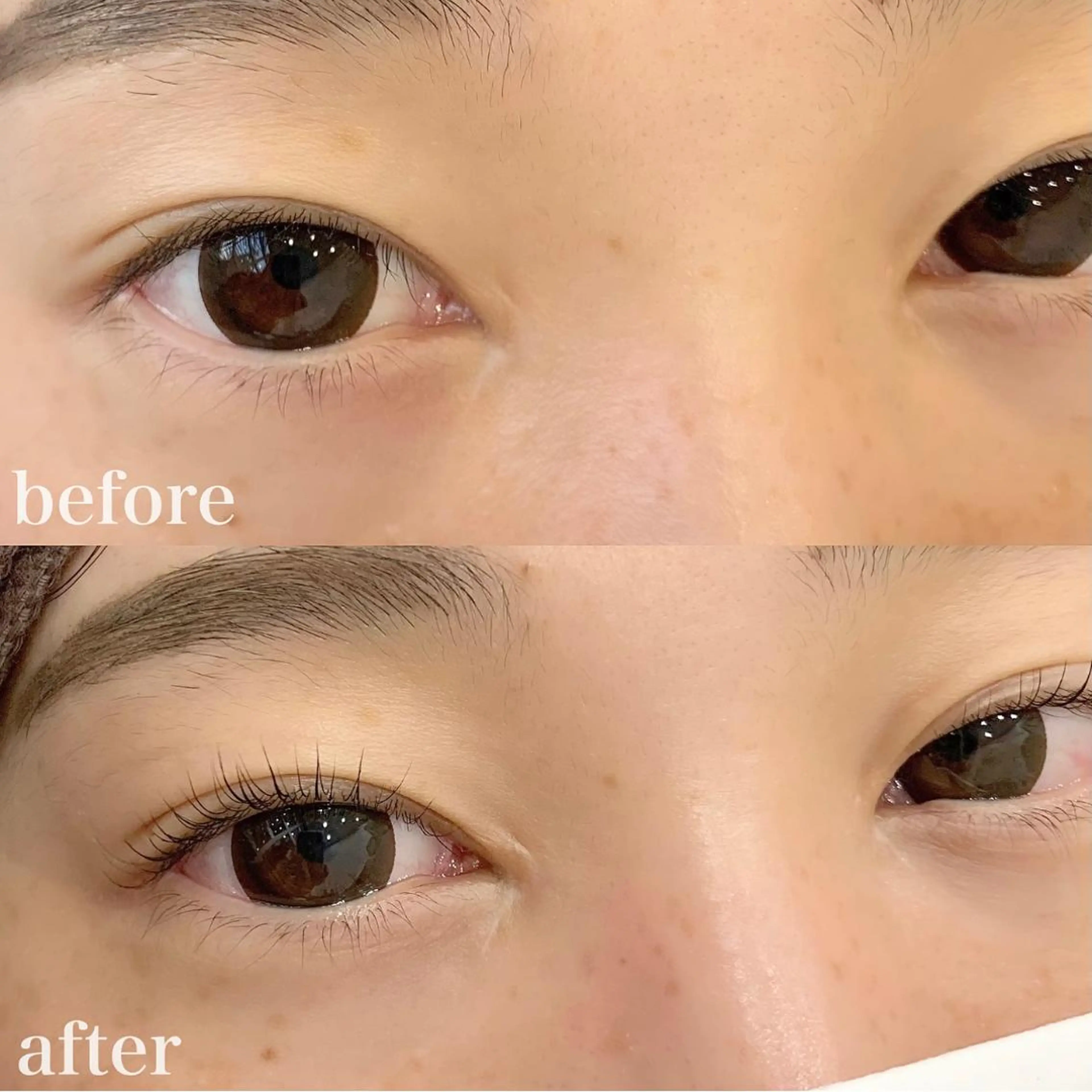 マツエク・マツパ WHITE EYE 🤍Mayukaの眉毛・アイブロウイメージ