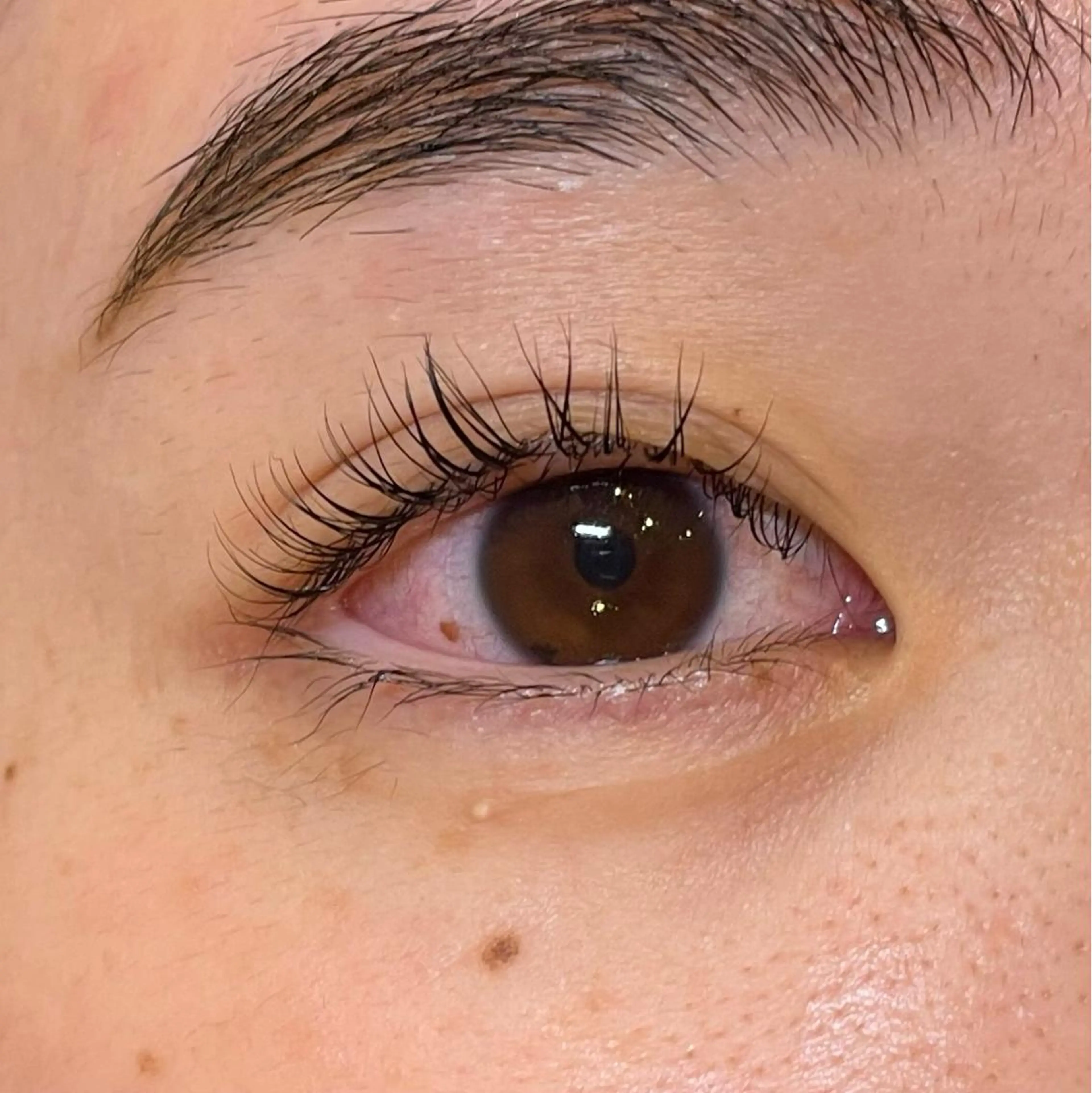 マツエク・マツパ 一重×まつ毛パーマ eyenico 心斎橋店の眉毛・アイブロウイメージ