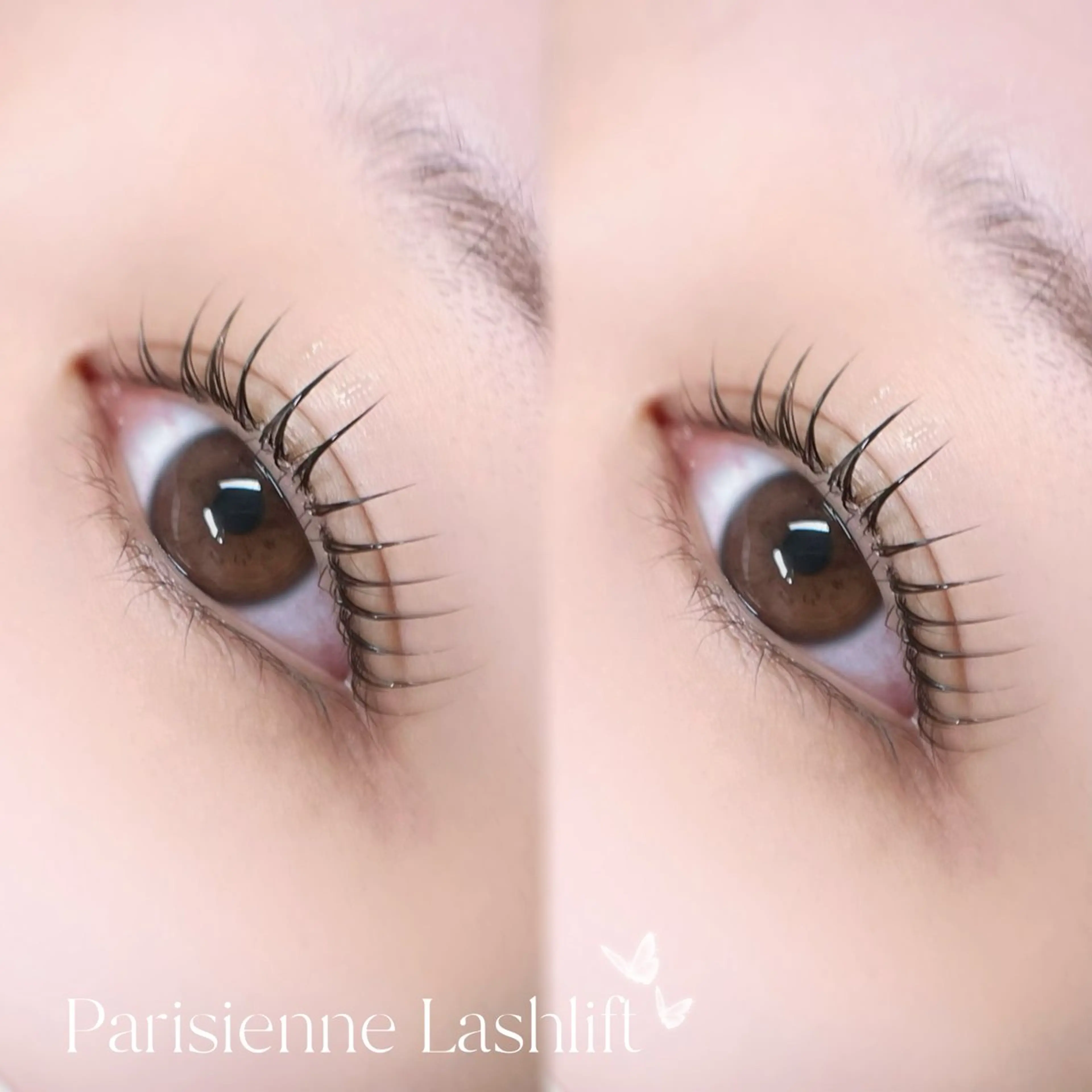 【ご新規様限定❕】🦋パリジェンヌラッシュリフト🦋トリートメント+アイシャンプー付き🤍の写真