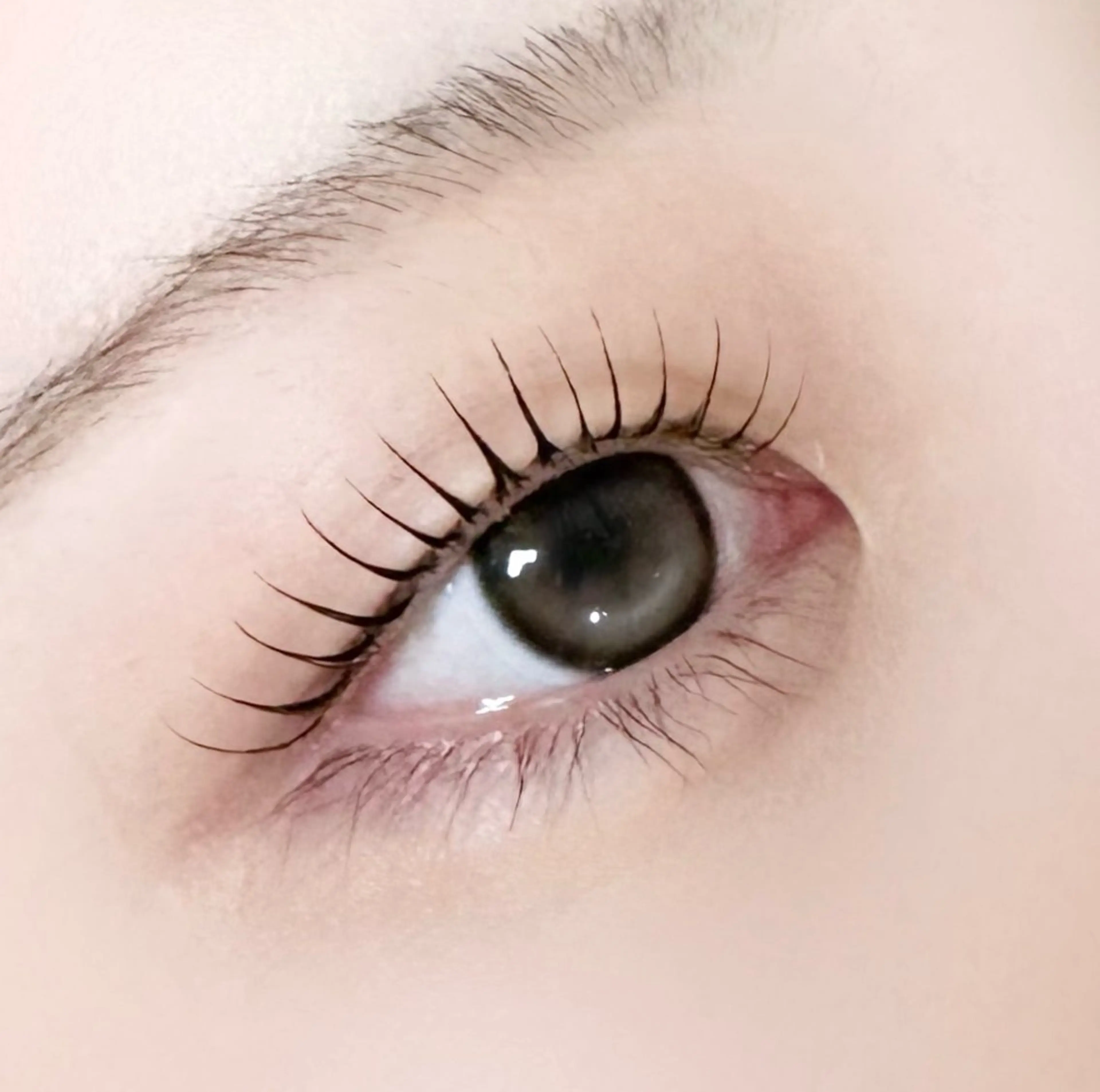 マツエク・マツパ CERINAmini Mii【博多駅近】のマツエク・マツパデザイン