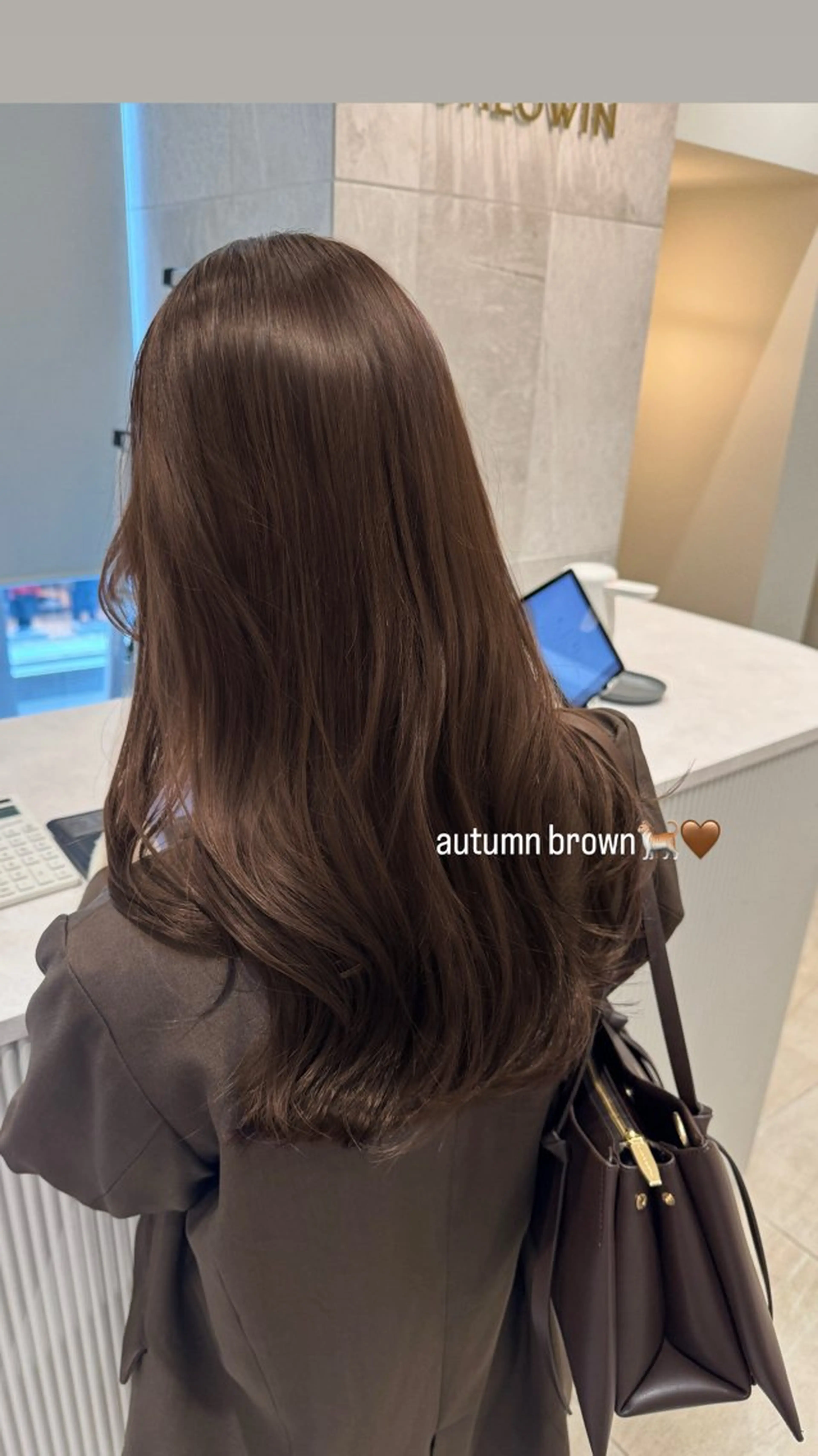 ロング ロングレイヤー レイヤーカット ロング 顔周りの垢抜けヘア 立山あいりのヘアスタイル