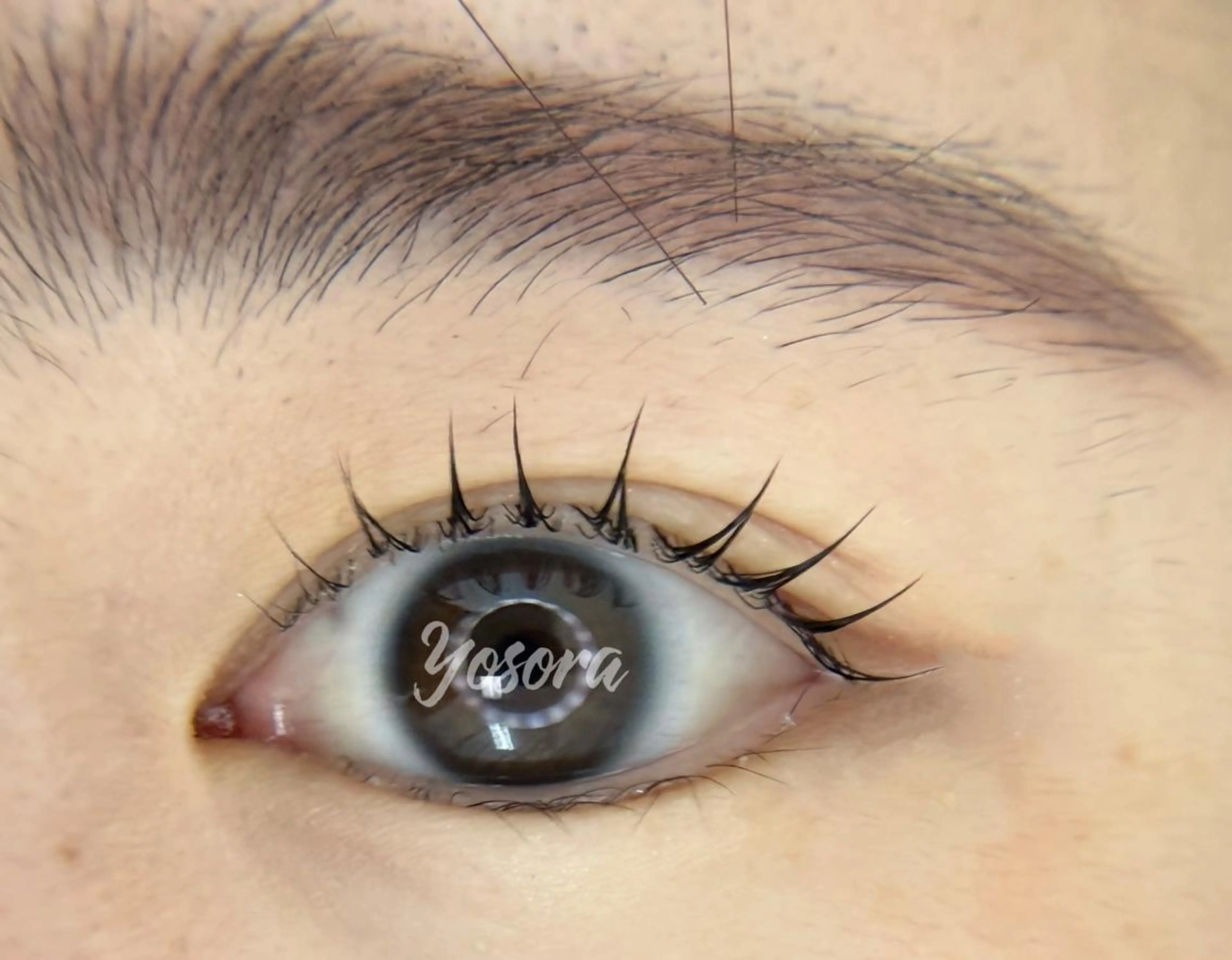 マツエク・マツパ 束感まつ毛 韓国風マツエク マツパ 浅草橋 Yosoraのマツエク・マツパデザイン