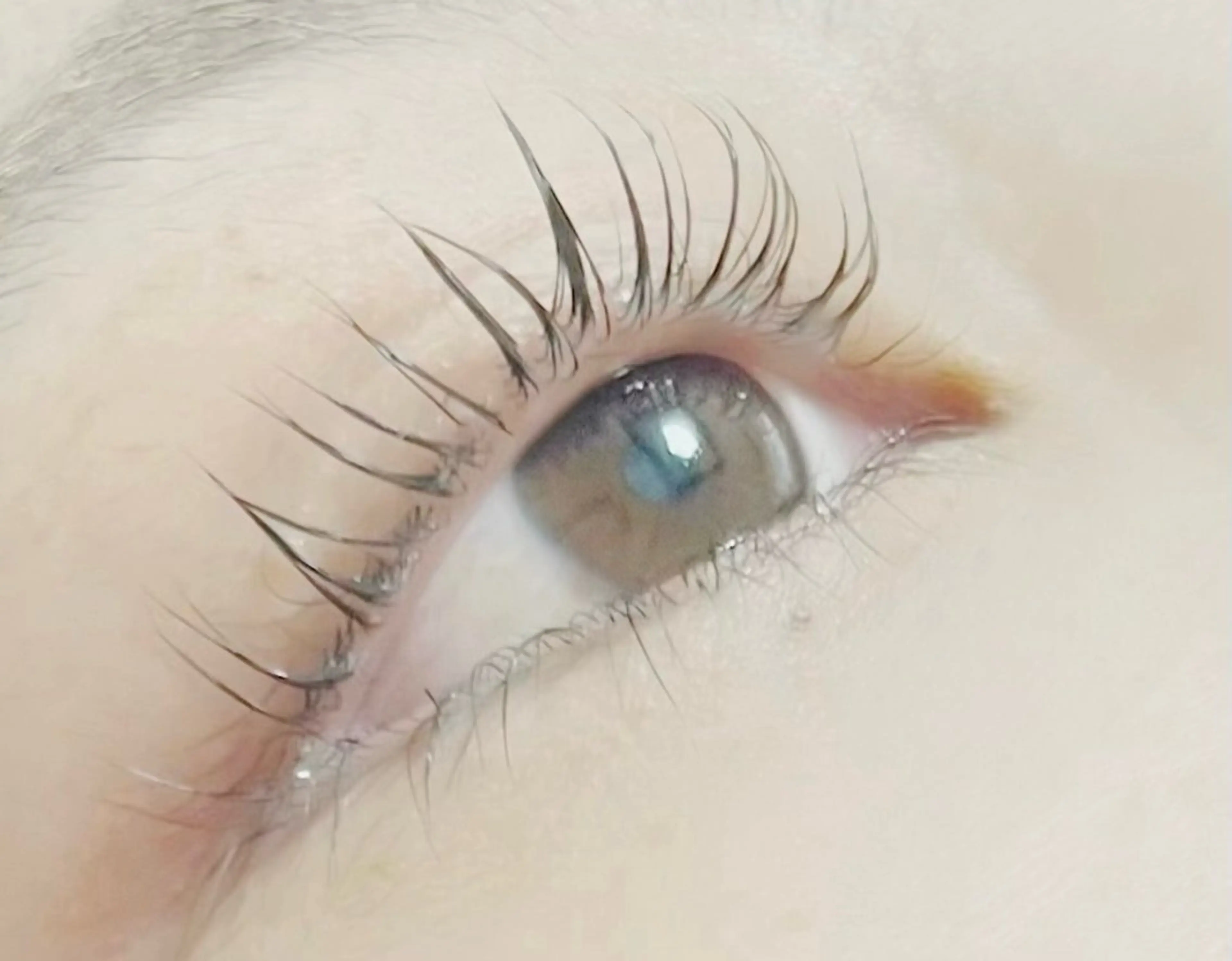 メイク時短！【似合わせまつ毛パーマ】モニター限定30名/¥4500→¥2000の写真