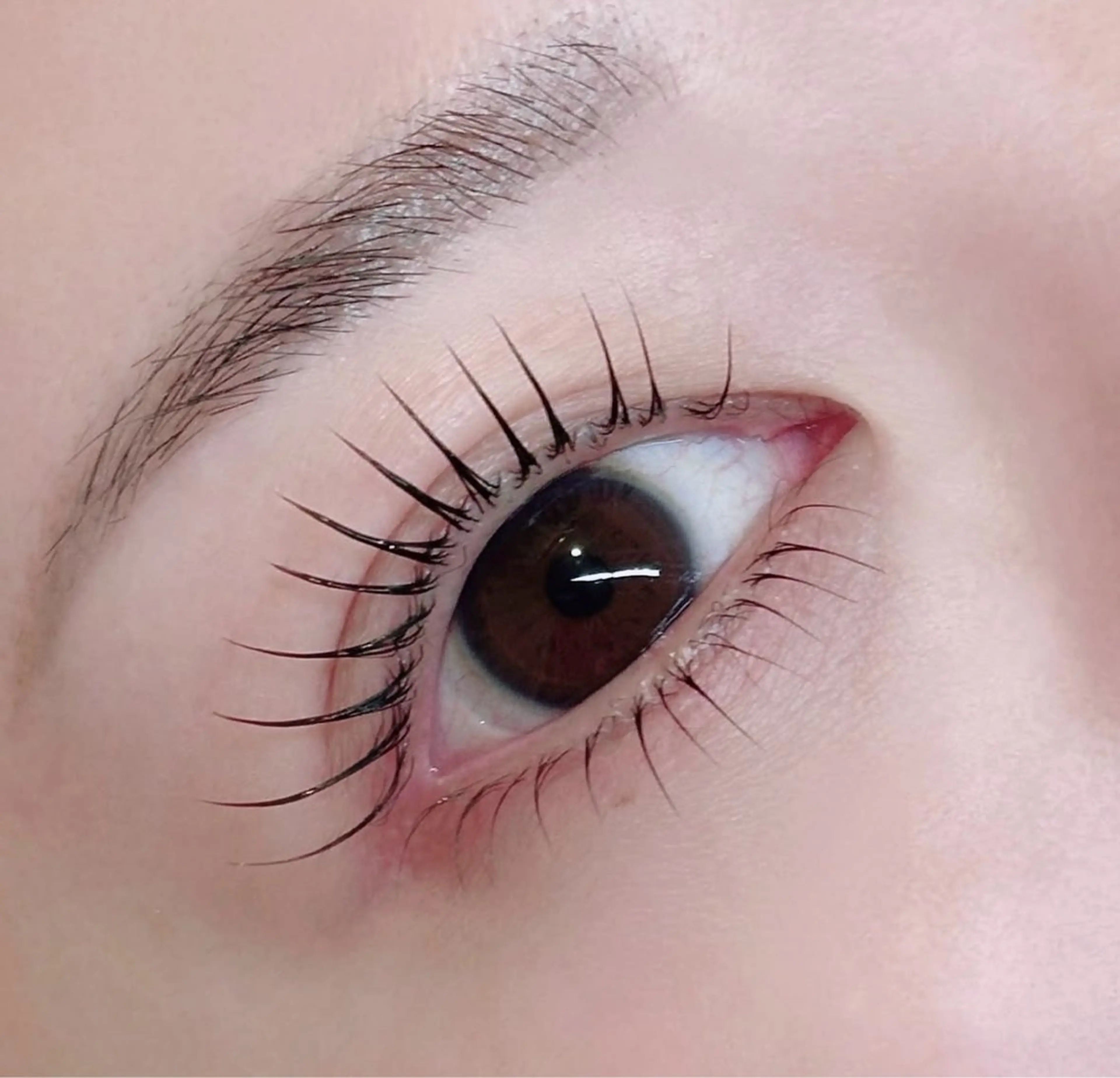 マツエク・マツパ まつげパーマ マツパ CiCi🫧 eyelashのマツエク・マツパデザイン