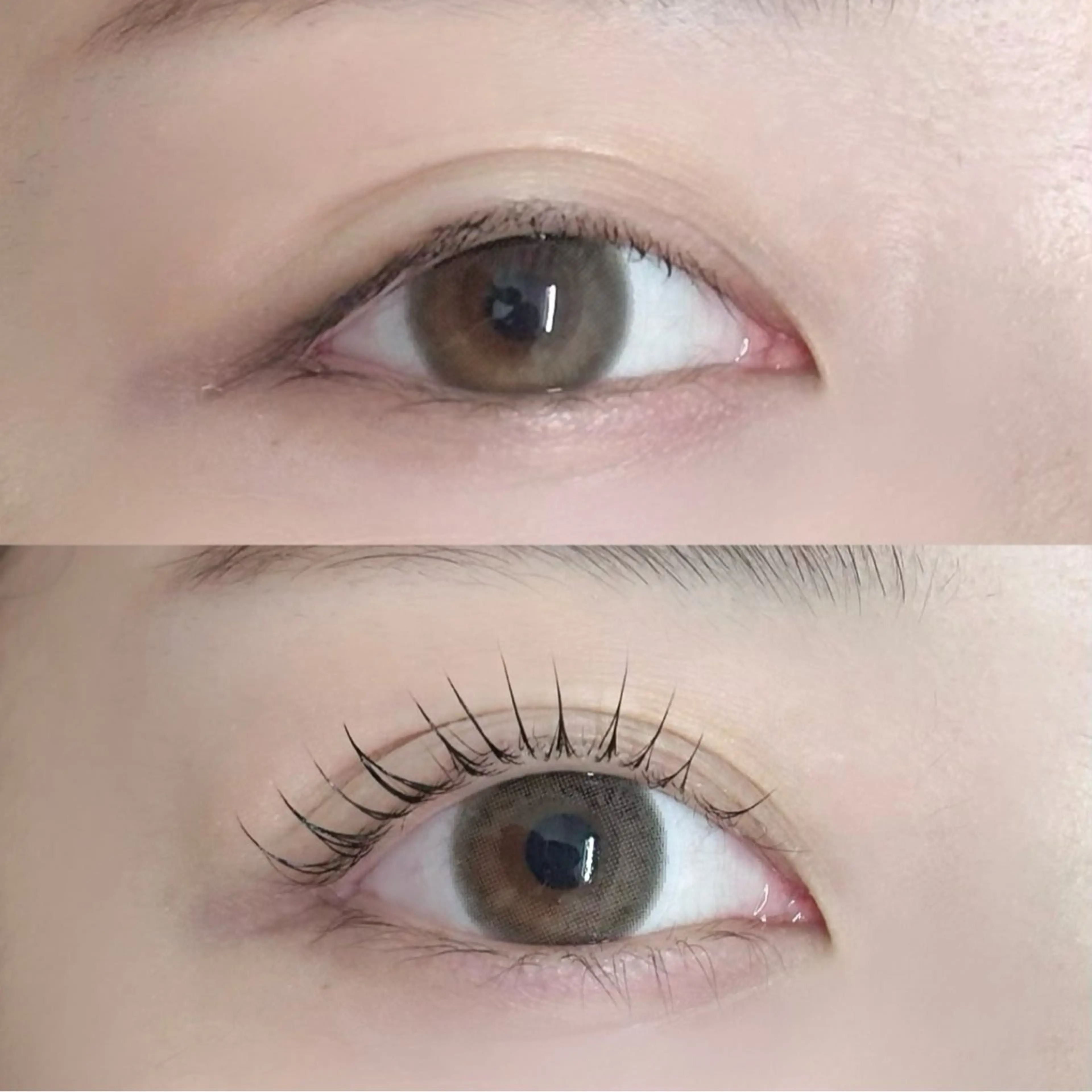 マツエク・マツパ Dia Lily. 北村のマツエク・マツパデザイン