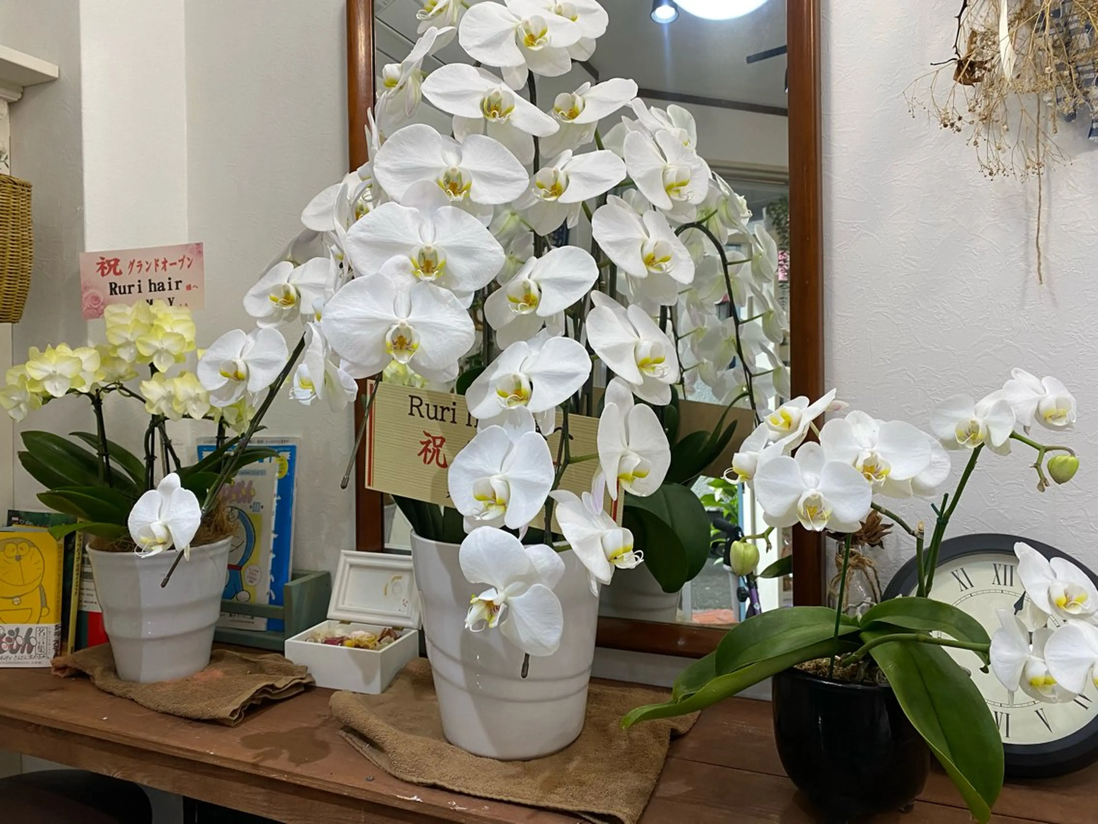 Ruri hair magomusumeのヘアスタイル