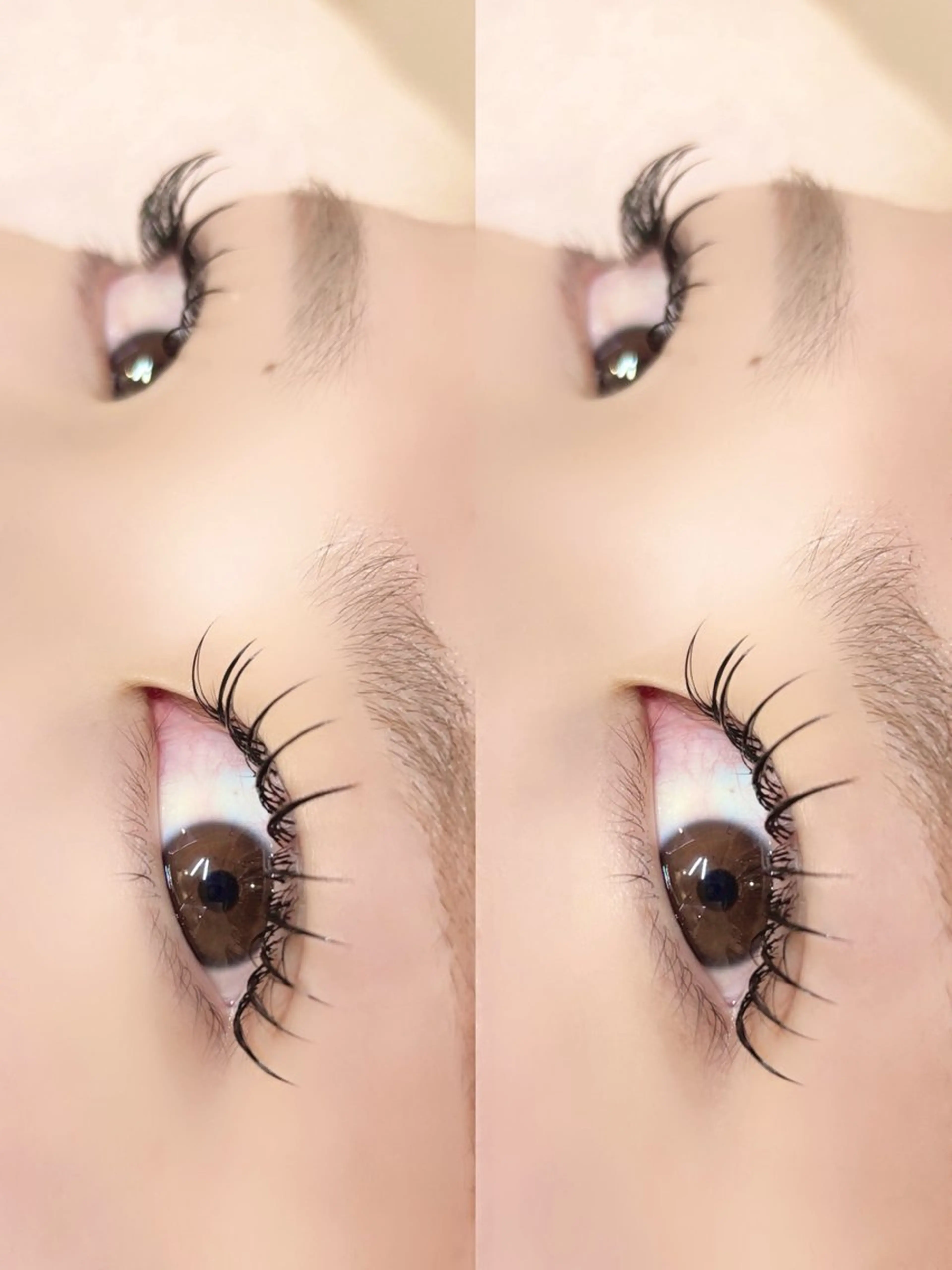 マツエク・マツパ フラットラッシュ マツエク Pupu lash ‪ ꪔ̤のマツエク・マツパデザイン