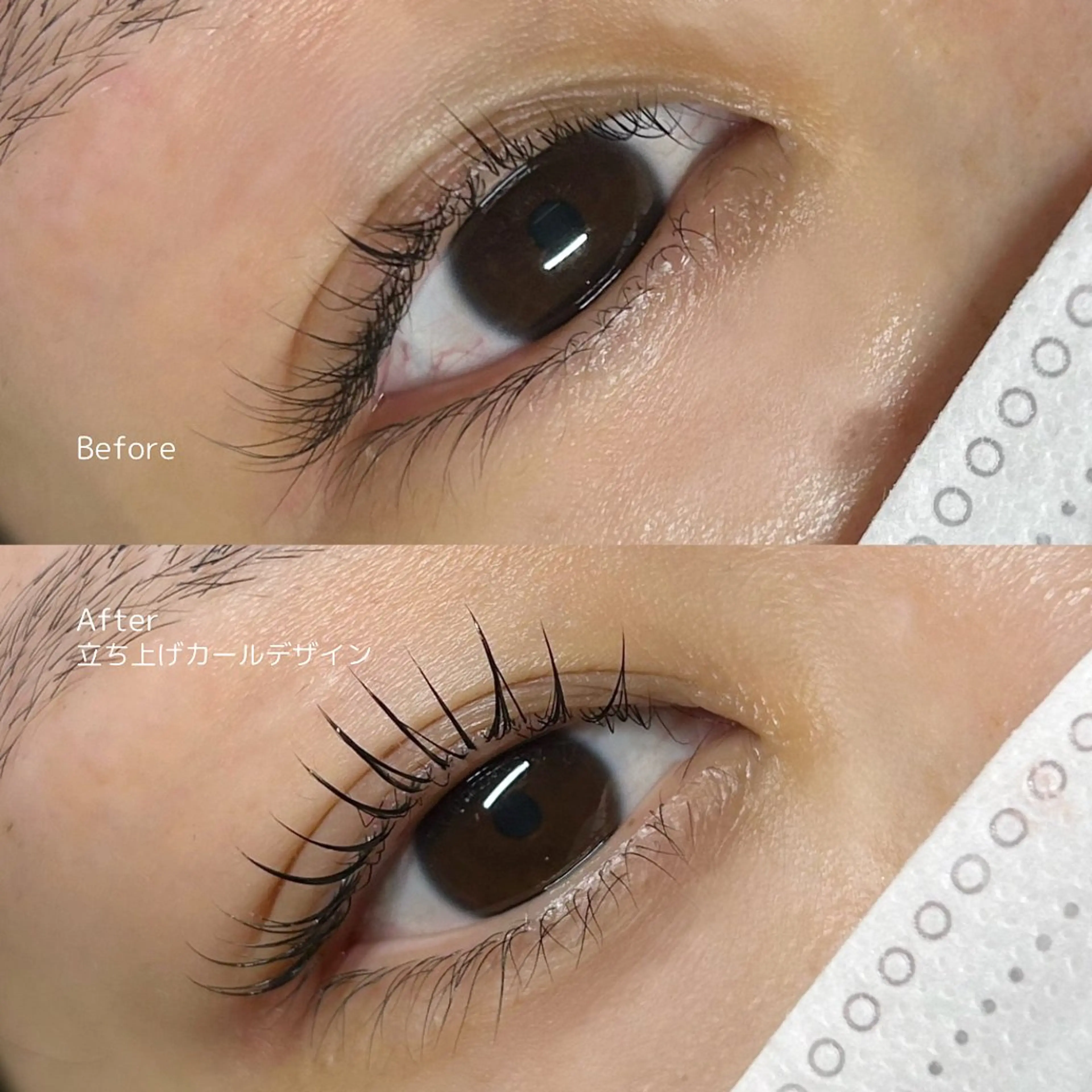 マツエク・マツパ ボウ🪞ヘアセット /マツパ/眉毛のマツエク・マツパデザイン