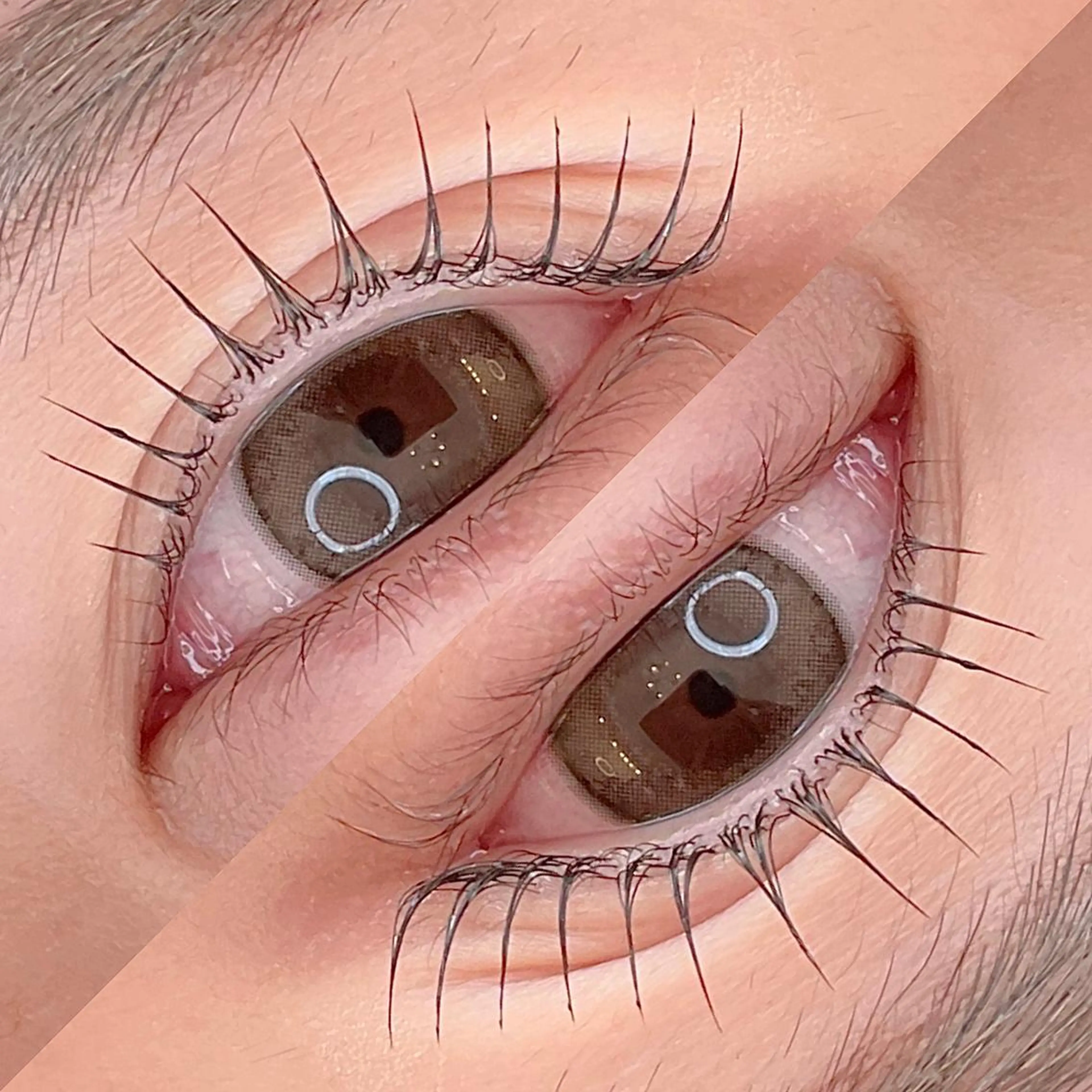 マツエク・マツパ カラーマツエク パリジェンヌ/まつパ RoseLashのネイルデザイン