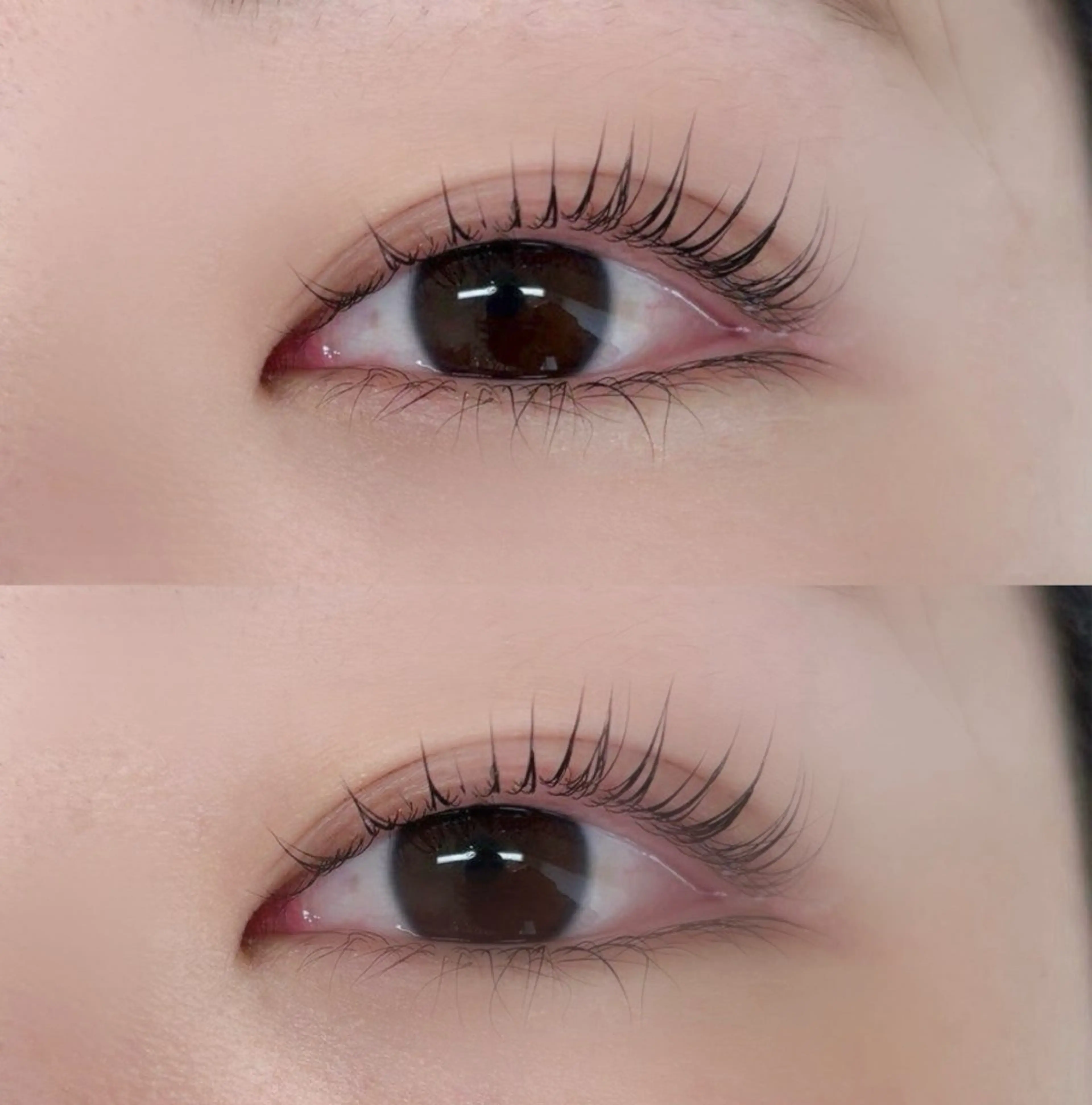 マツエク・マツパ マツパ Maria pinklagoonのマツエク・マツパデザイン