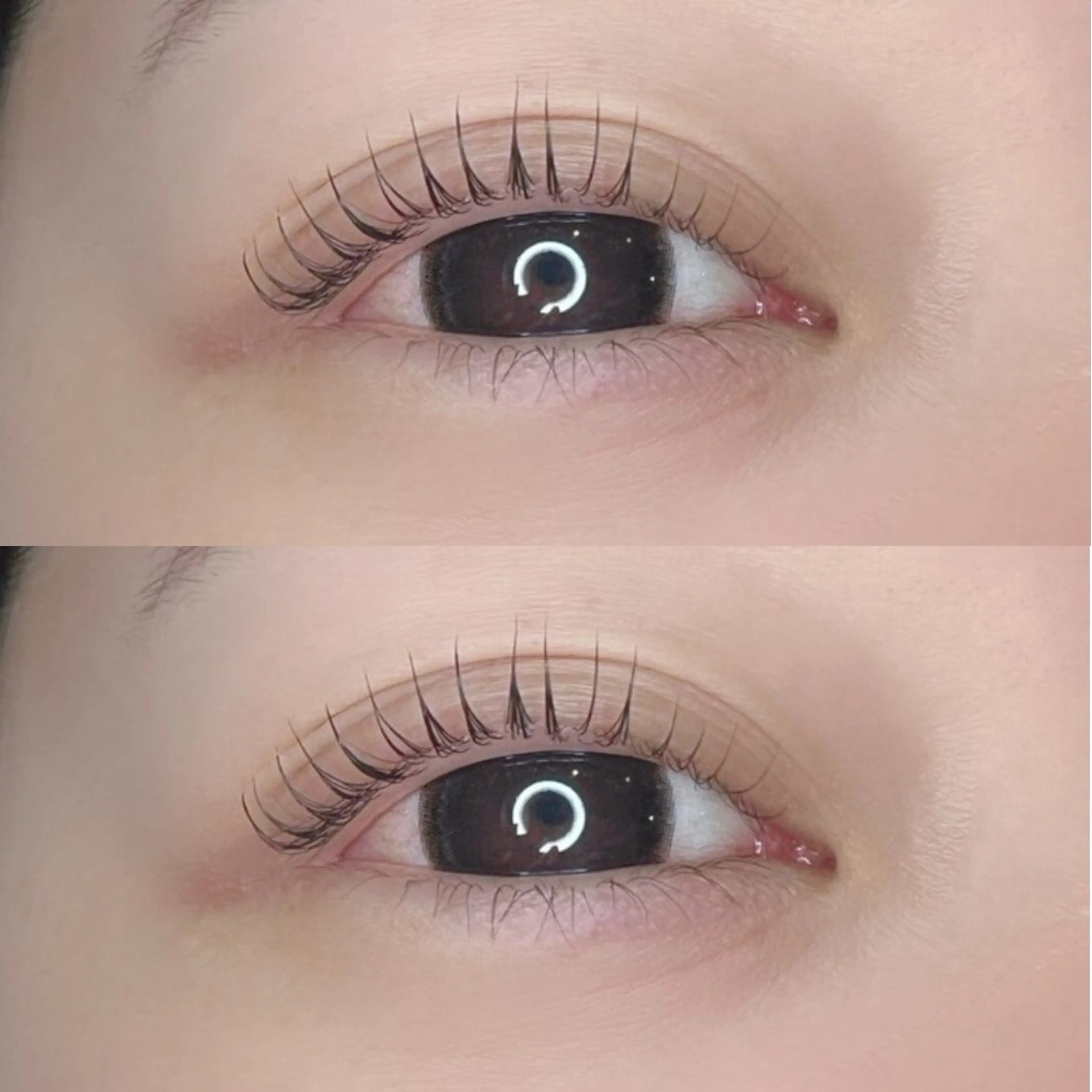 マツエク・マツパ パリジェンヌラッシュリフト 🌼ステラマリス🌼 Hiranoのマツエク・マツパデザイン