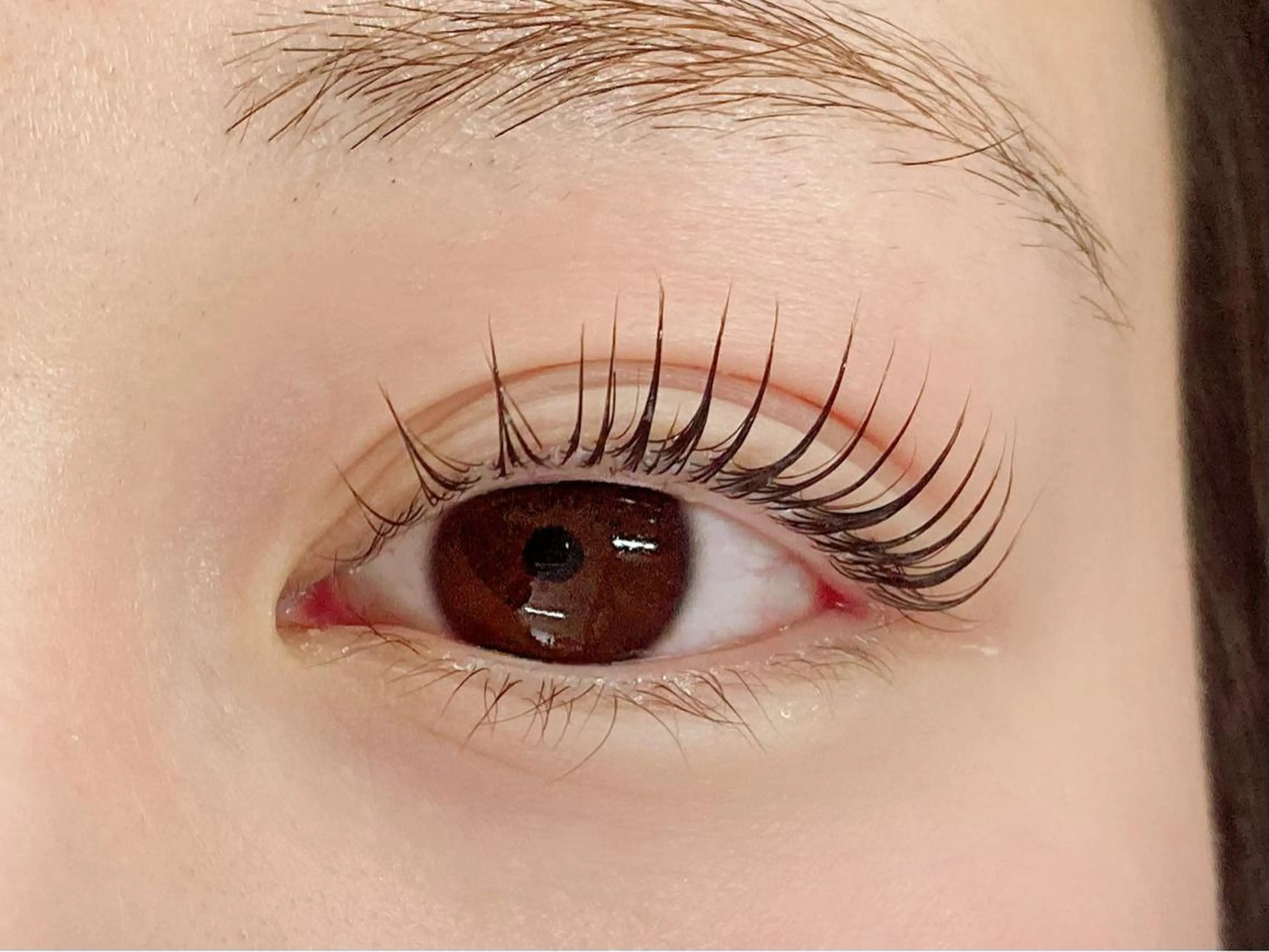 🎀パリジェンヌラッシュリフト🎀(オフ無し)まつ毛をとにかく長く魅せたい方に❣️60分→ご指名料¥330込み(藤沢)の写真