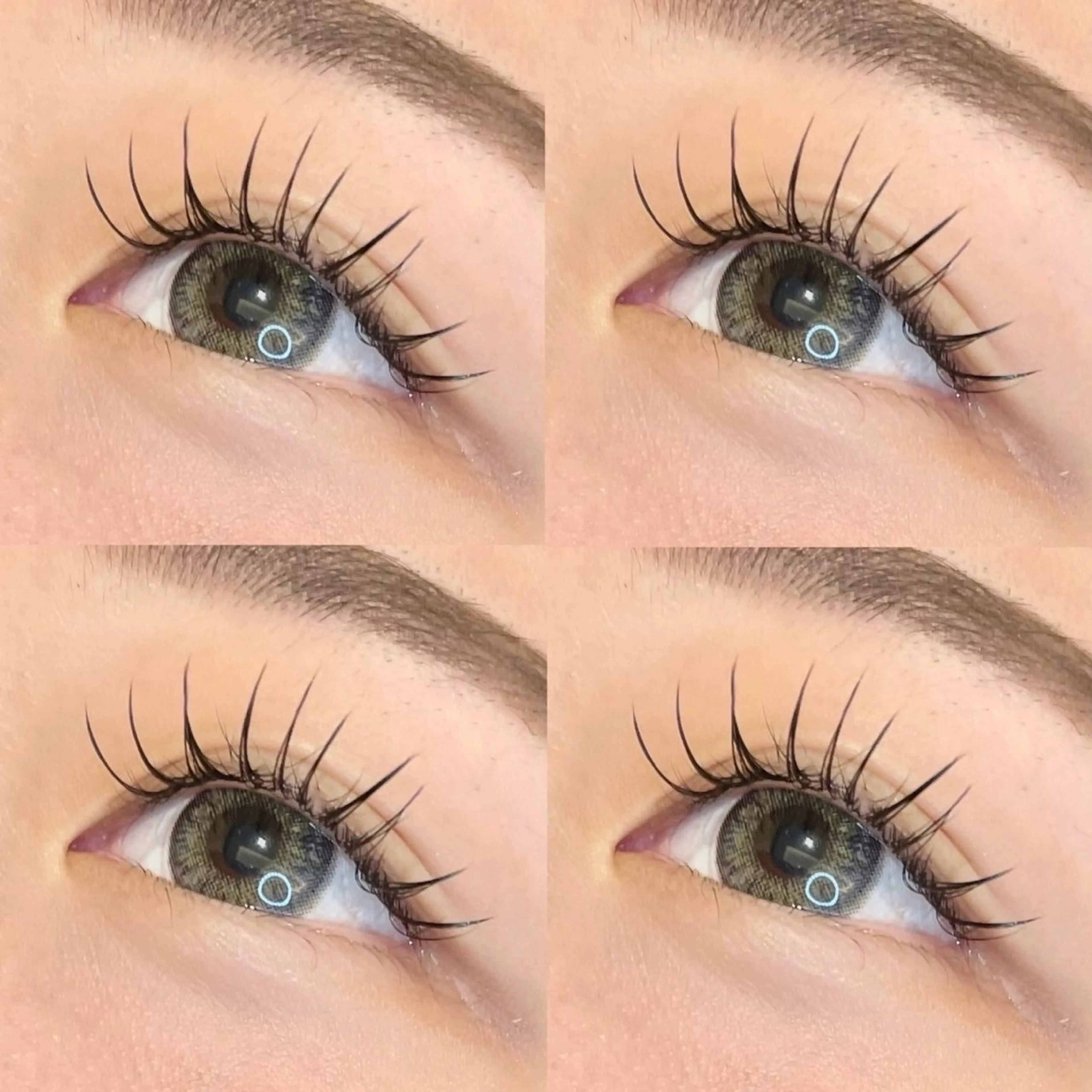 マツエク・マツパ フラットラッシュ マツエク Neolive銀座/ SEIKA🧸のマツエク・マツパデザイン