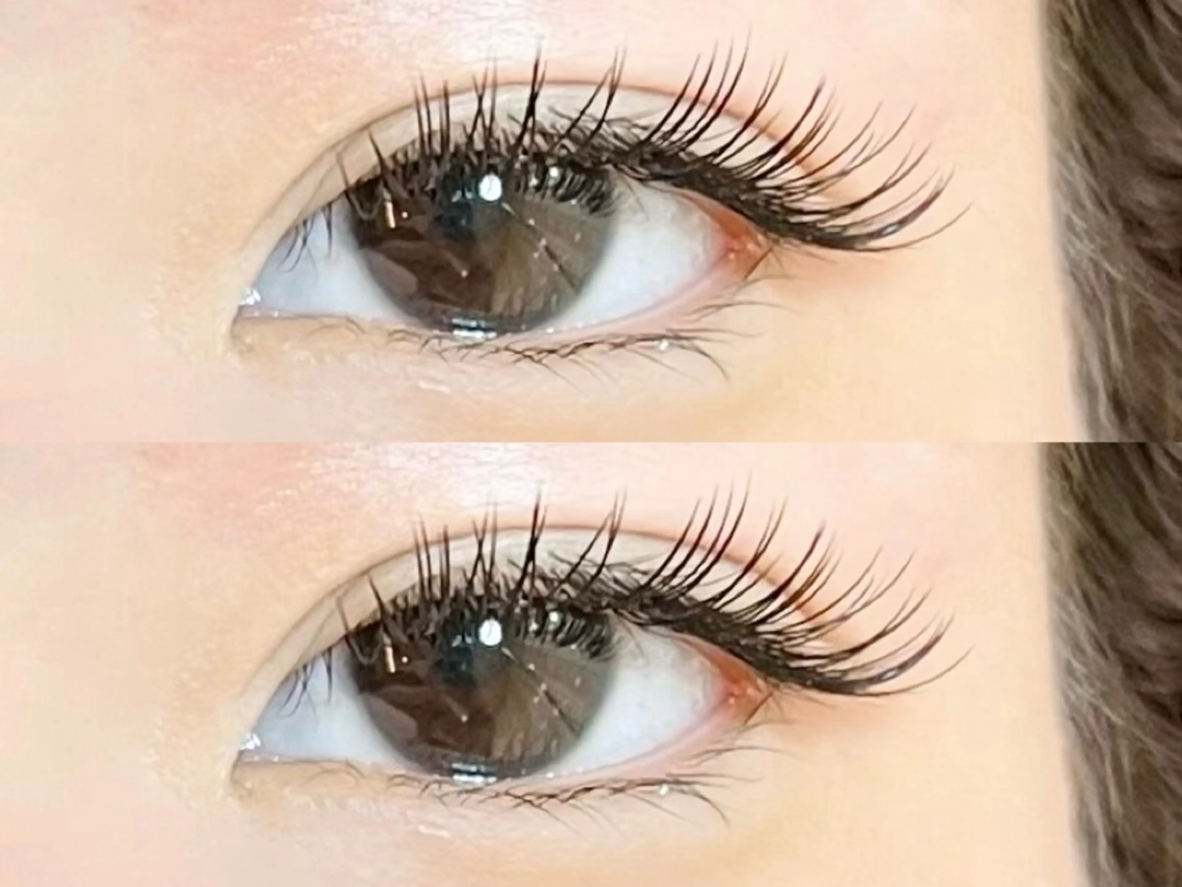 フラットラッシュ100本‪ 再来+500円 ⸜❤︎⸝‍の写真