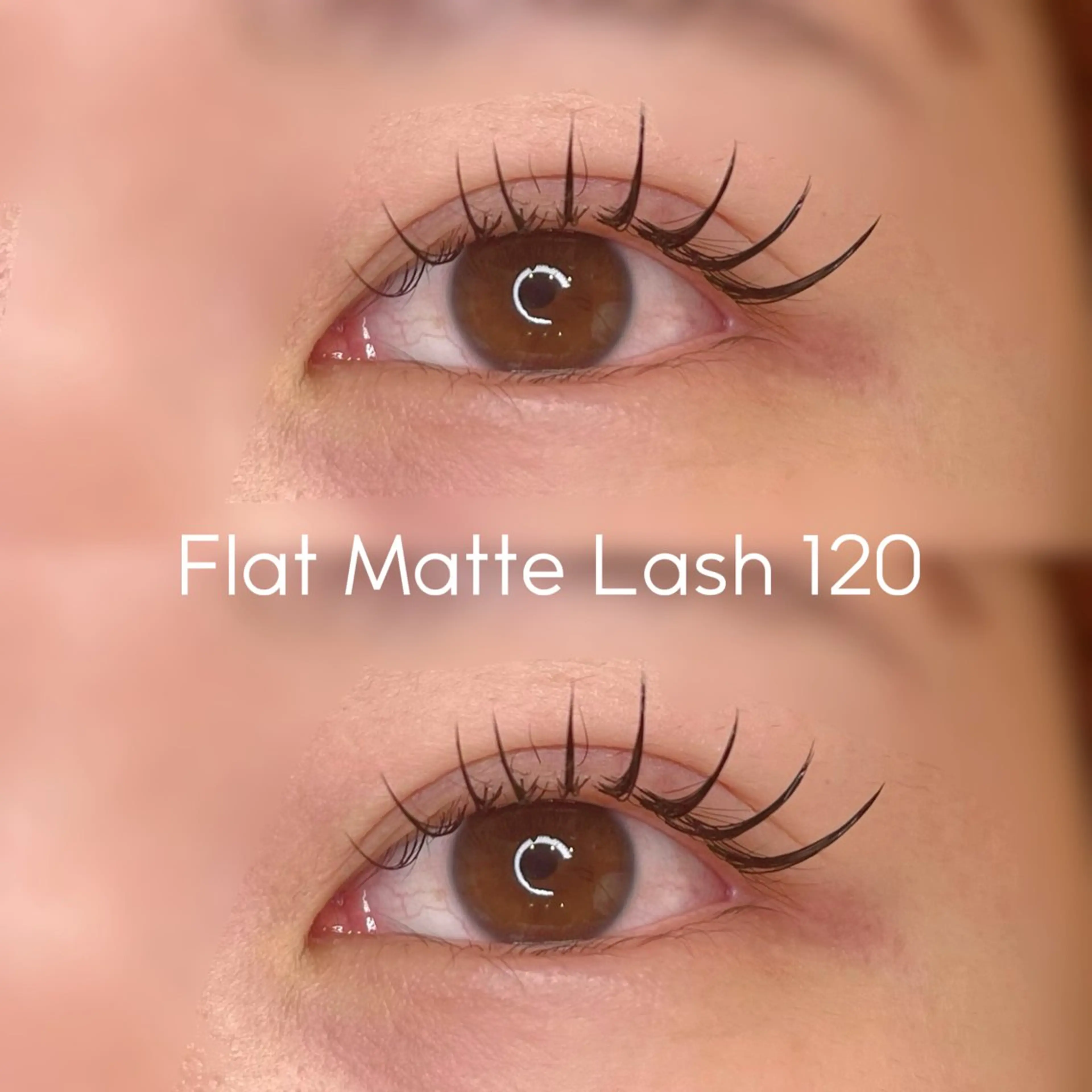 4/23.29限定👩💼✨フラットラッシュ120本!アイシャンプー付の写真