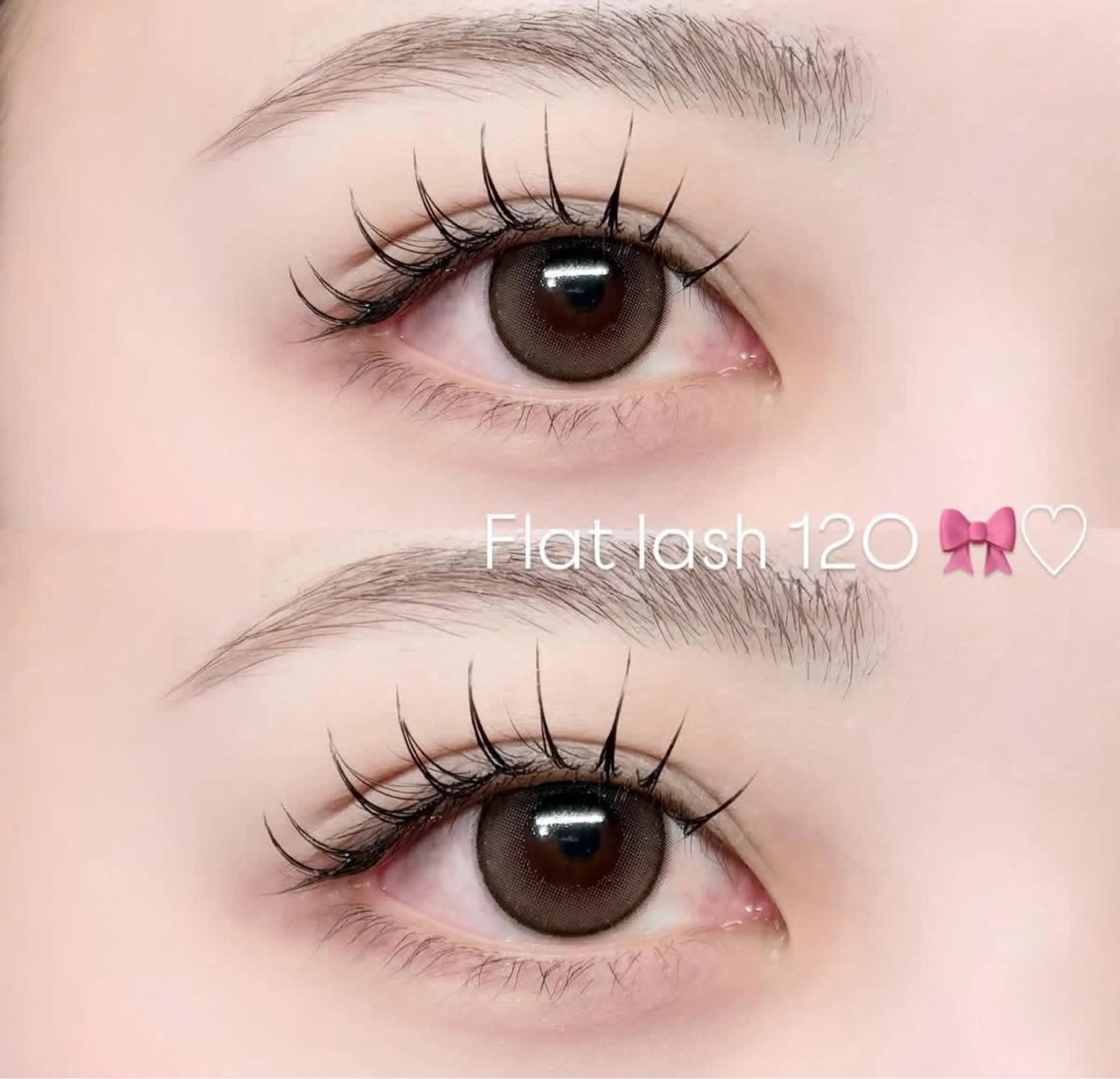 韓ドル風束感マツエク⭐️🪽120本(コーティング付き)の写真