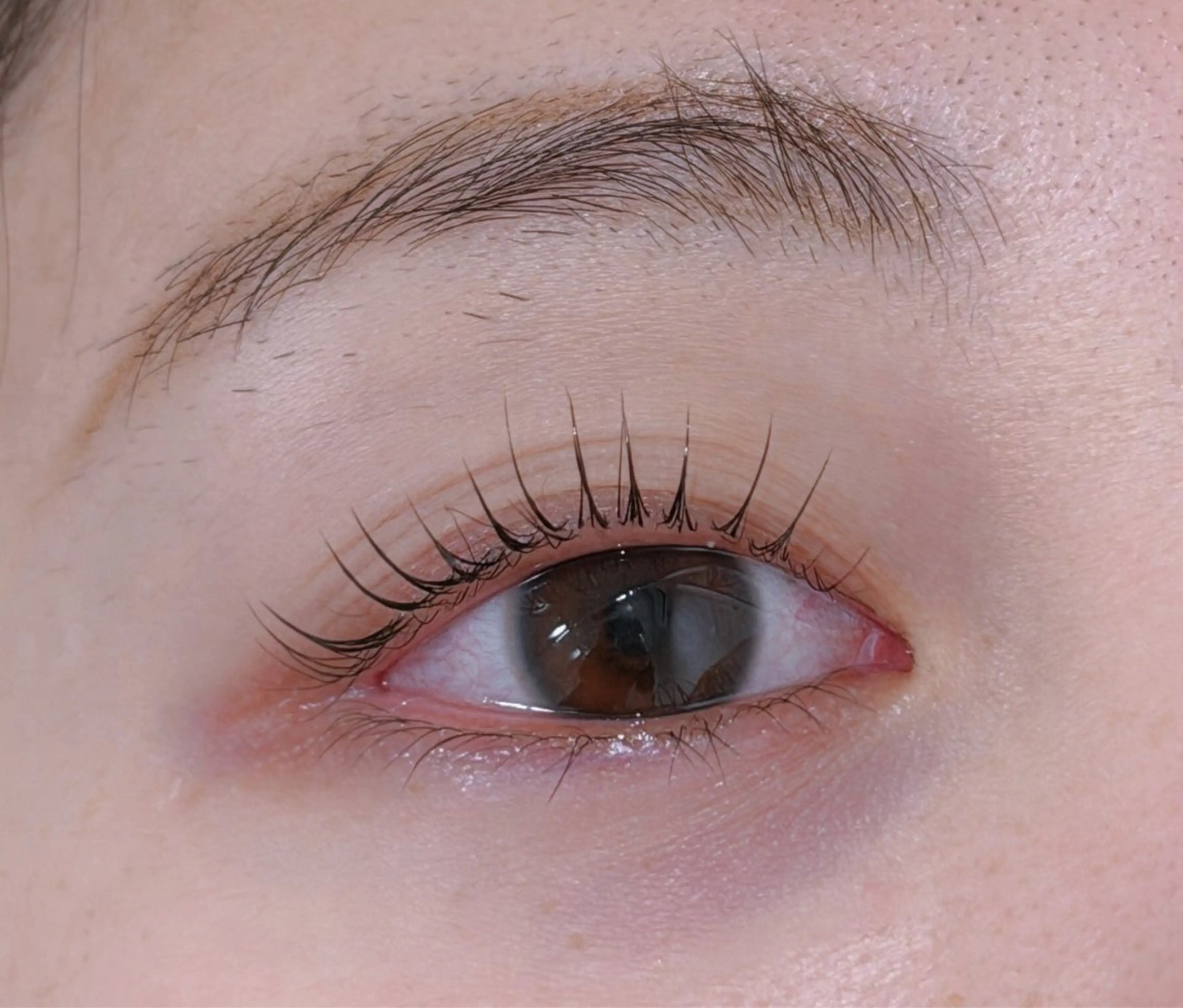 マツエク・マツパ 一重×まつ毛パーマ Lil by Fan. 菊池のマツエク・マツパデザイン