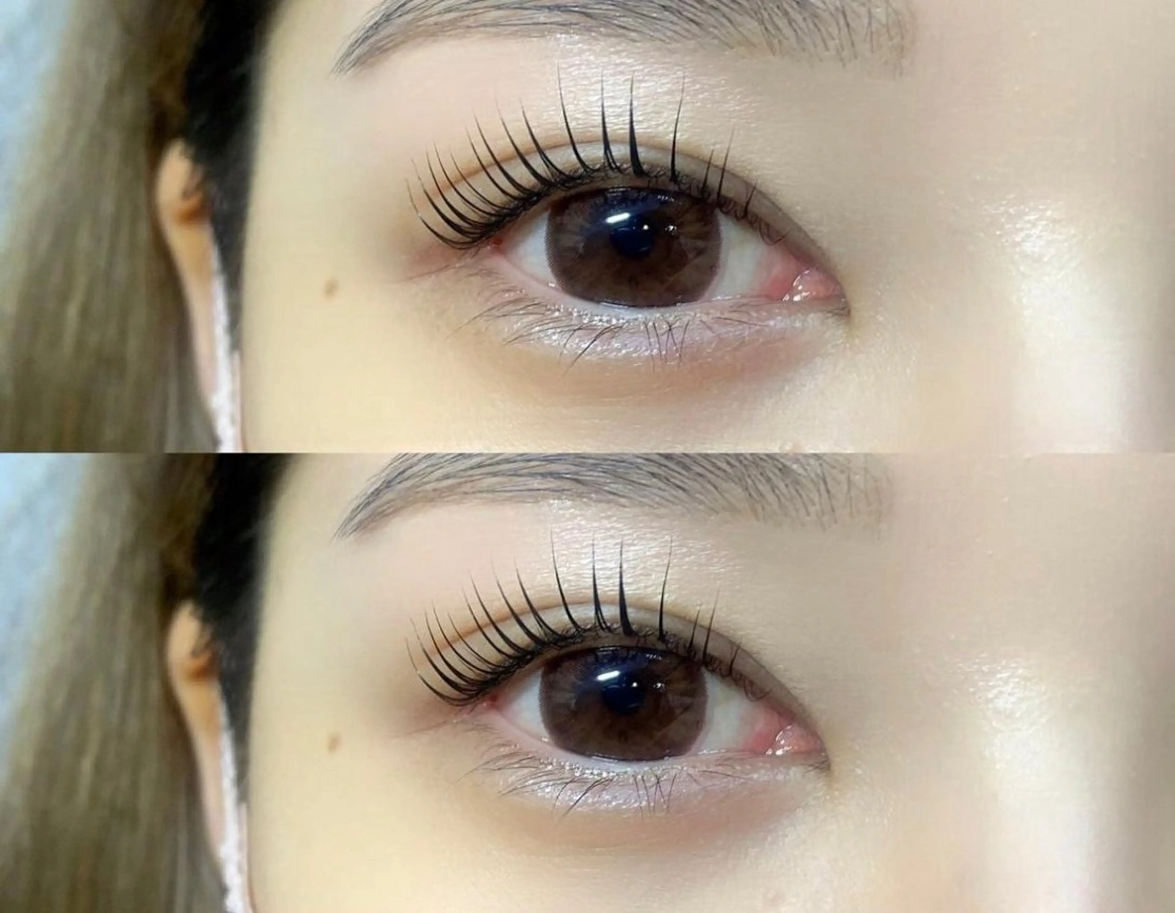 ãããšã¯ã»ããã Isogai ðžð¯ï»¿ã®ãããšã¯ã»ããããã¶ã€ã³