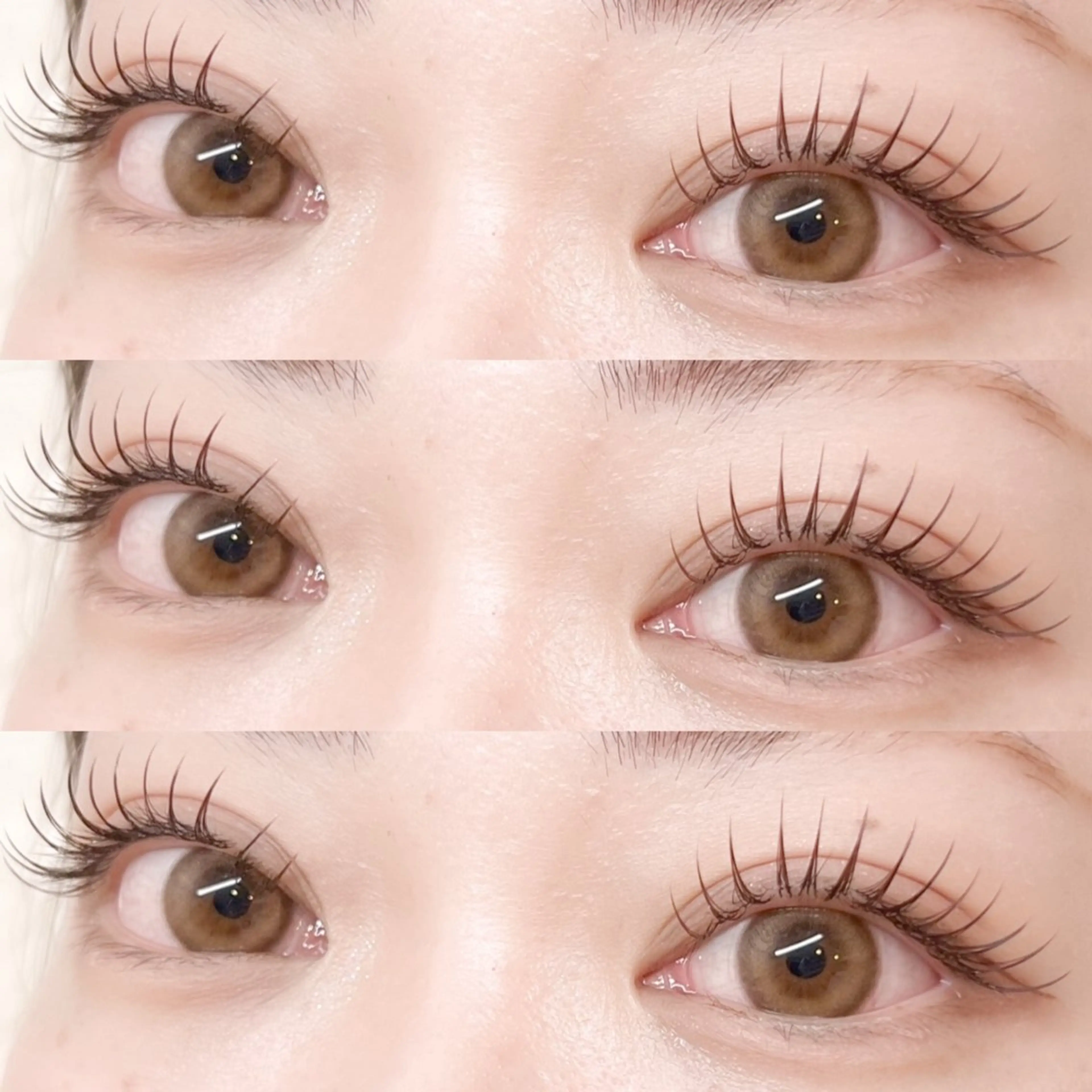 フラットラッシュ160本🌷🫧の写真