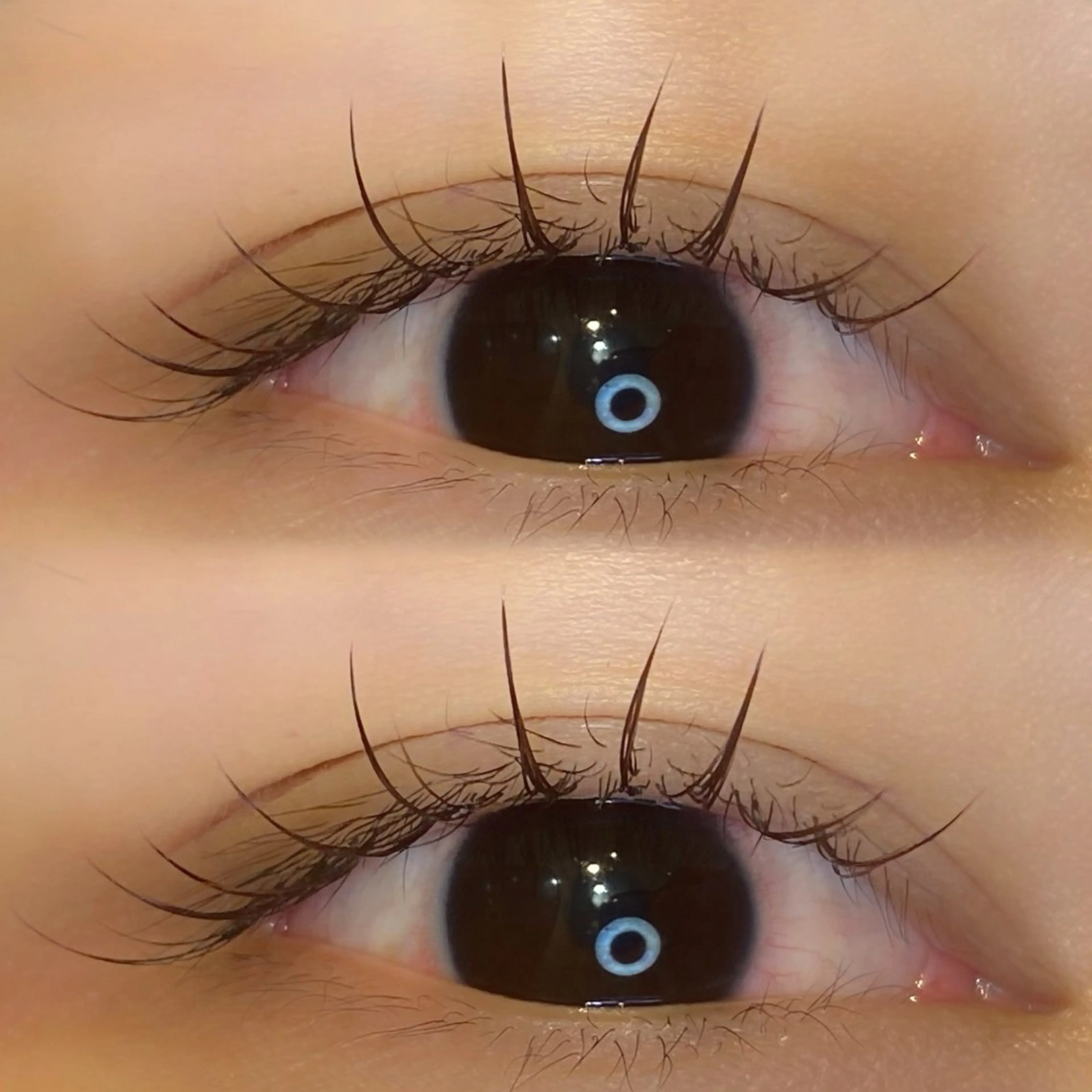 マツエク・マツパ マツエク Loco❤︎ 布施の眉毛・アイブロウイメージ