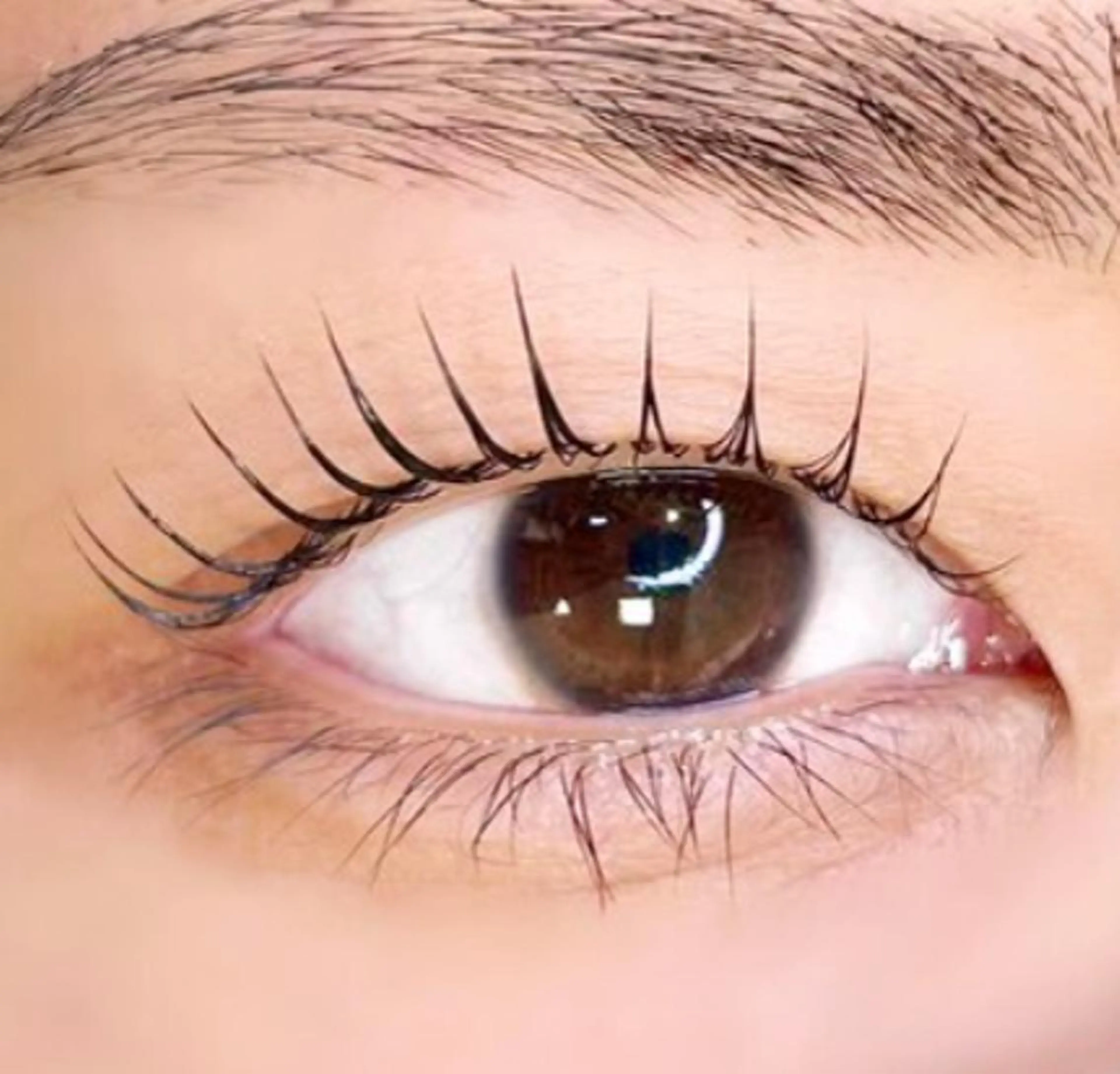 マツエク・マツパ パリジェンヌラッシュリフト oe harunaのマツエク・マツパデザイン