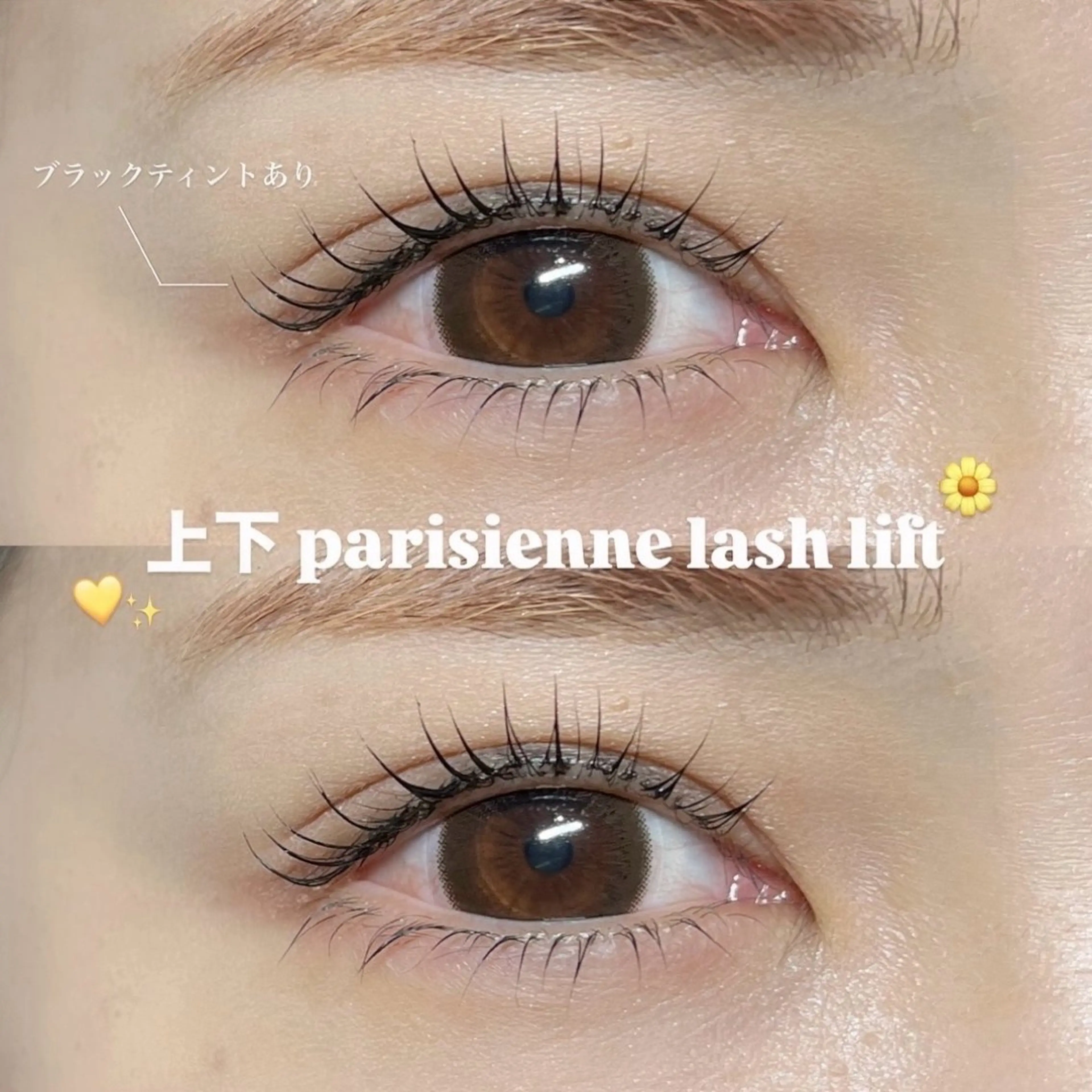 上下パリジェンヌラッシュリフト🎀の写真