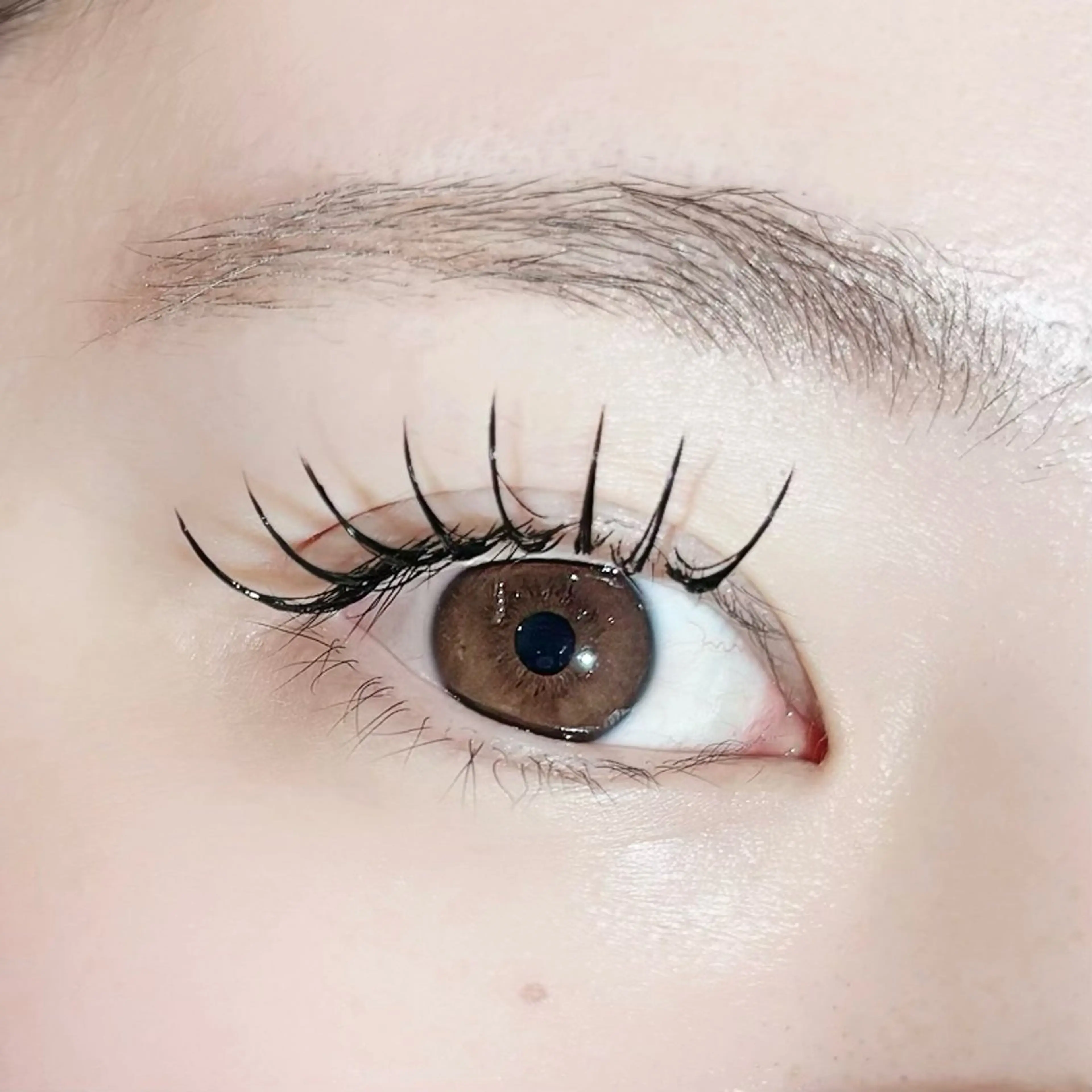 フラットラッシュ140本(ブラウン＋500円) 付け替えオフ無料(LEDオフ+550円 )の写真