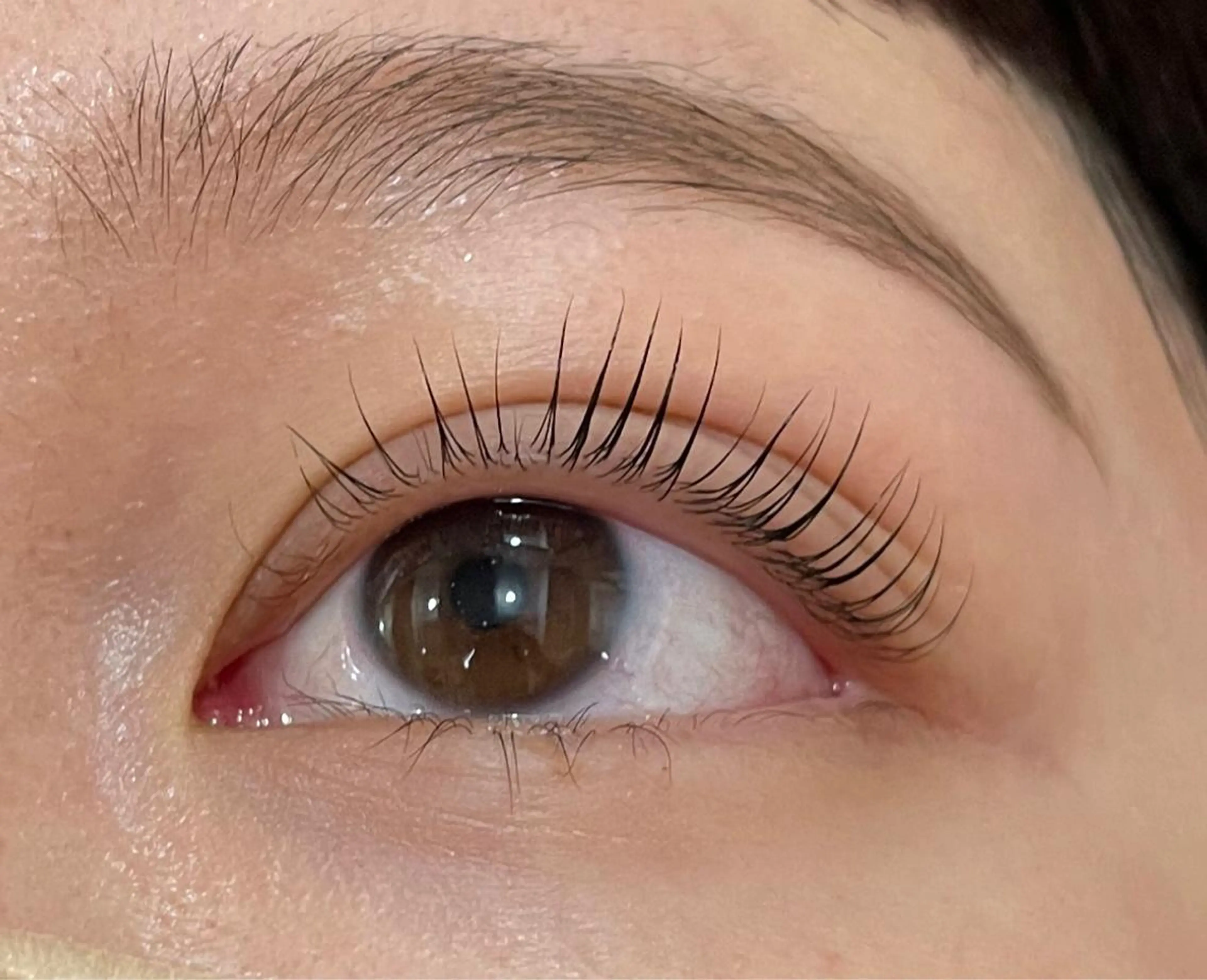 マツエク・マツパ マリーテレジア 🌻RUKAのマツエク・マツパデザイン