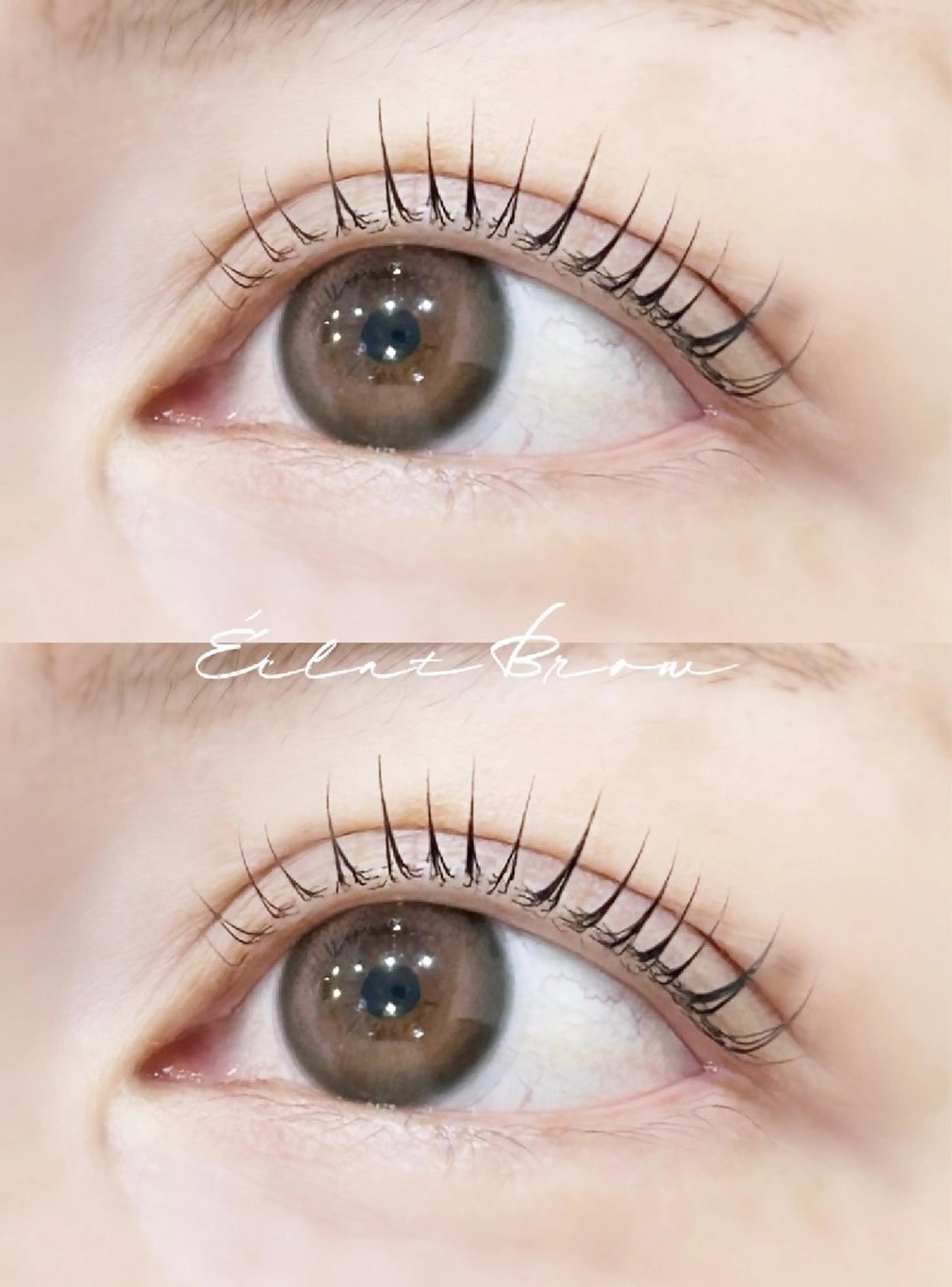 マツエク・マツパ エクラブロウ 柏駅東口店のマツエク・マツパデザイン