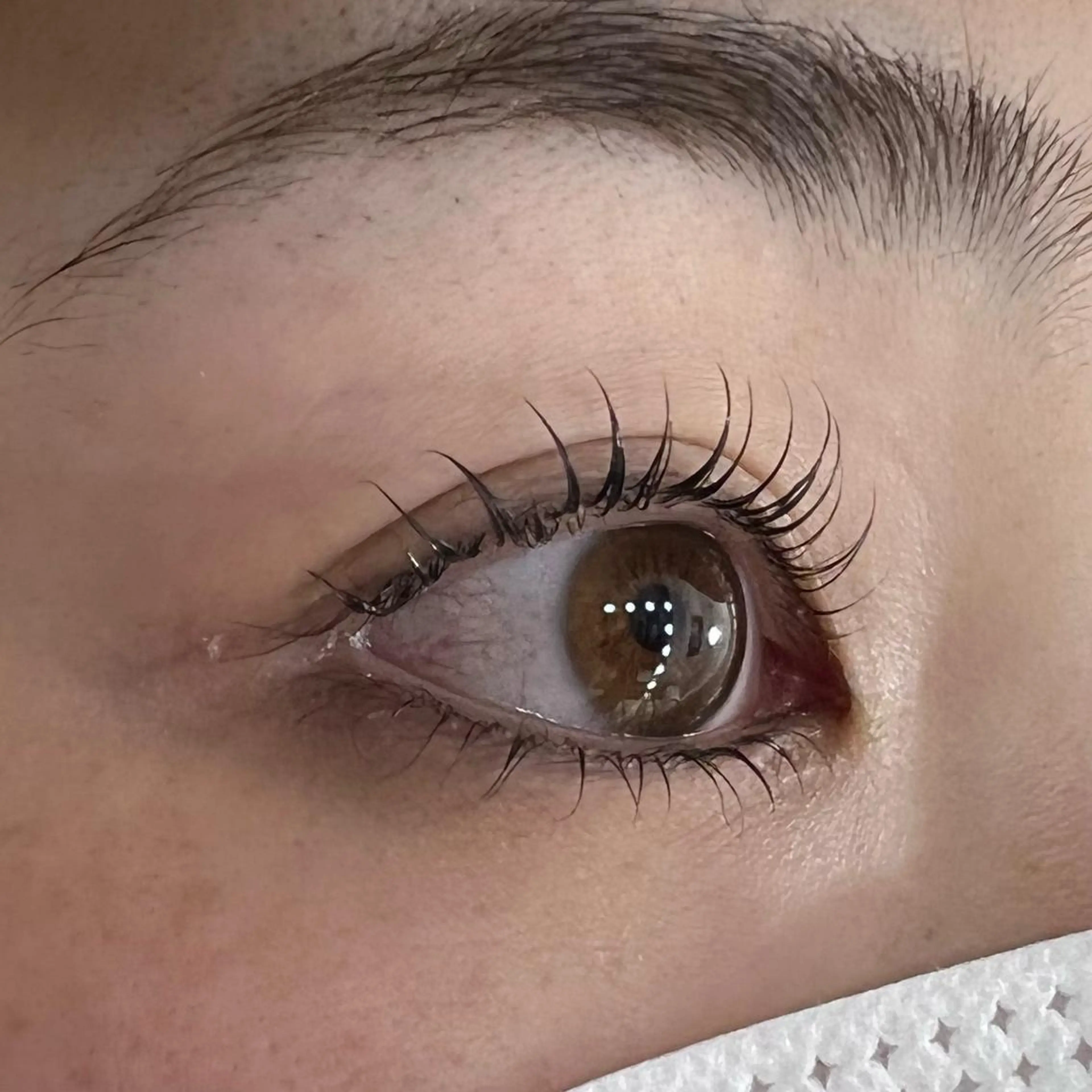 マツエク・マツパ パリジェンヌラッシュリフト 🧸Celeste Venusのマツエク・マツパデザイン