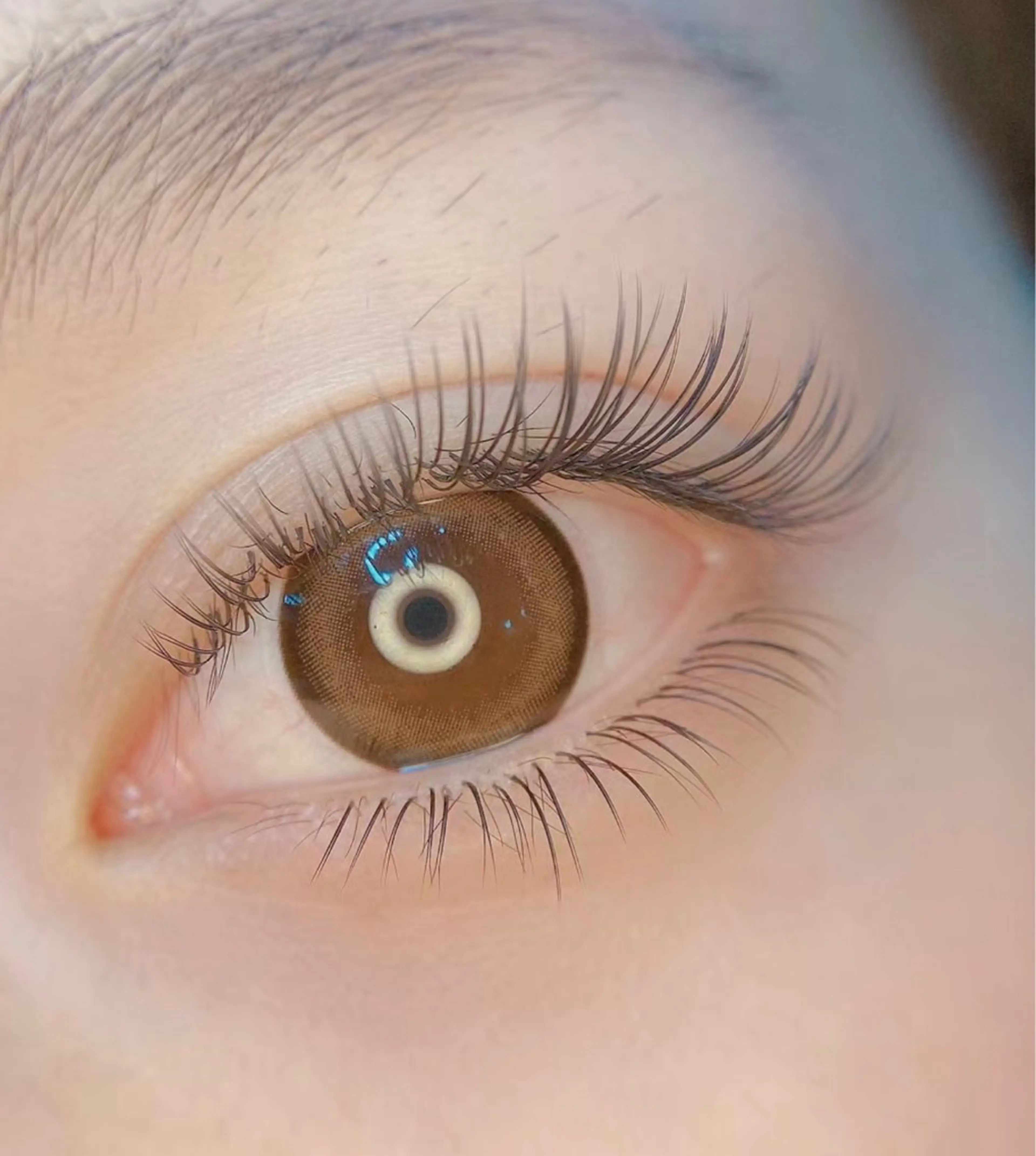 ★フライトラッシュ140の写真