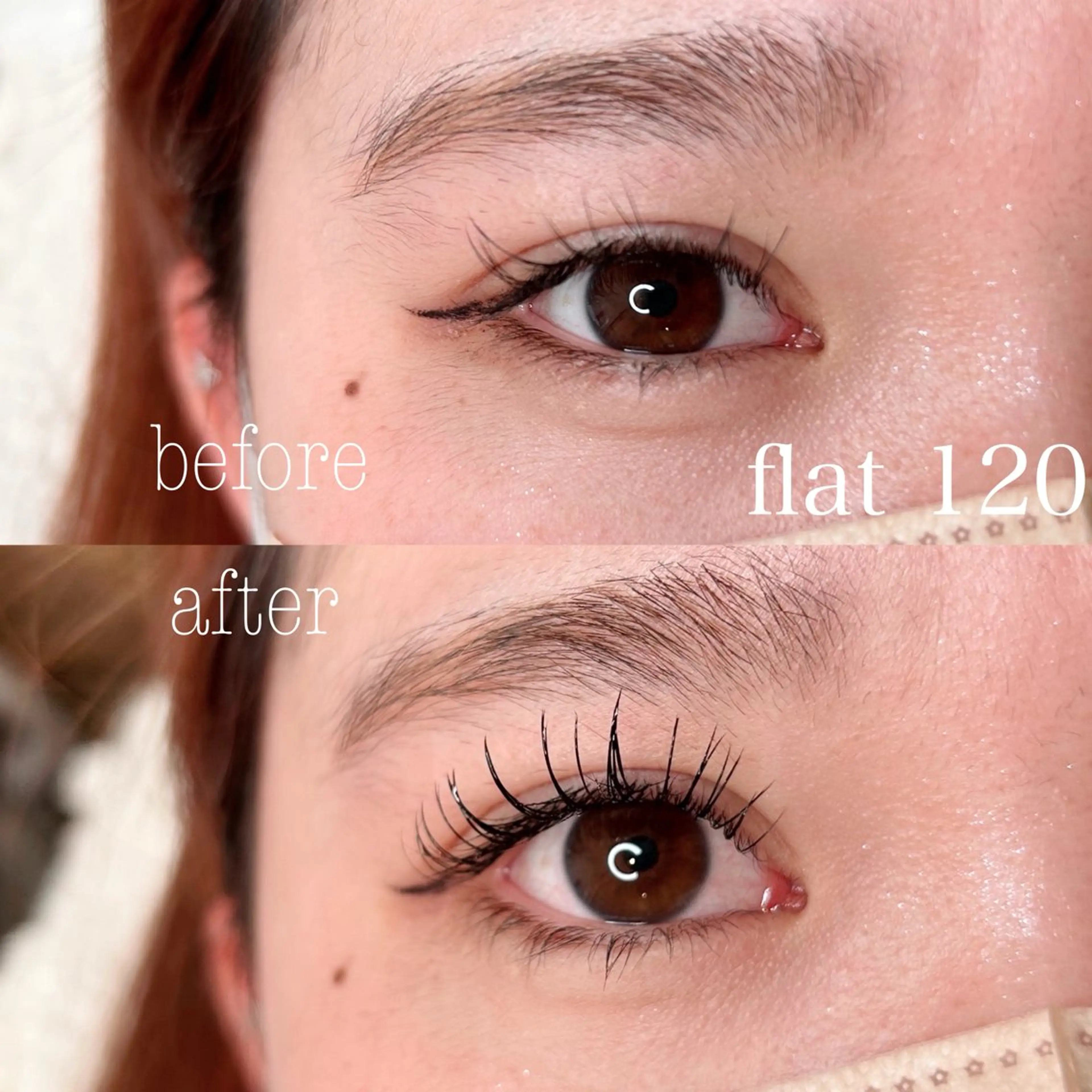 マツエク・マツパ Dカール フラットラッシュ マツエク elua eyelashの眉毛・アイブロウイメージ