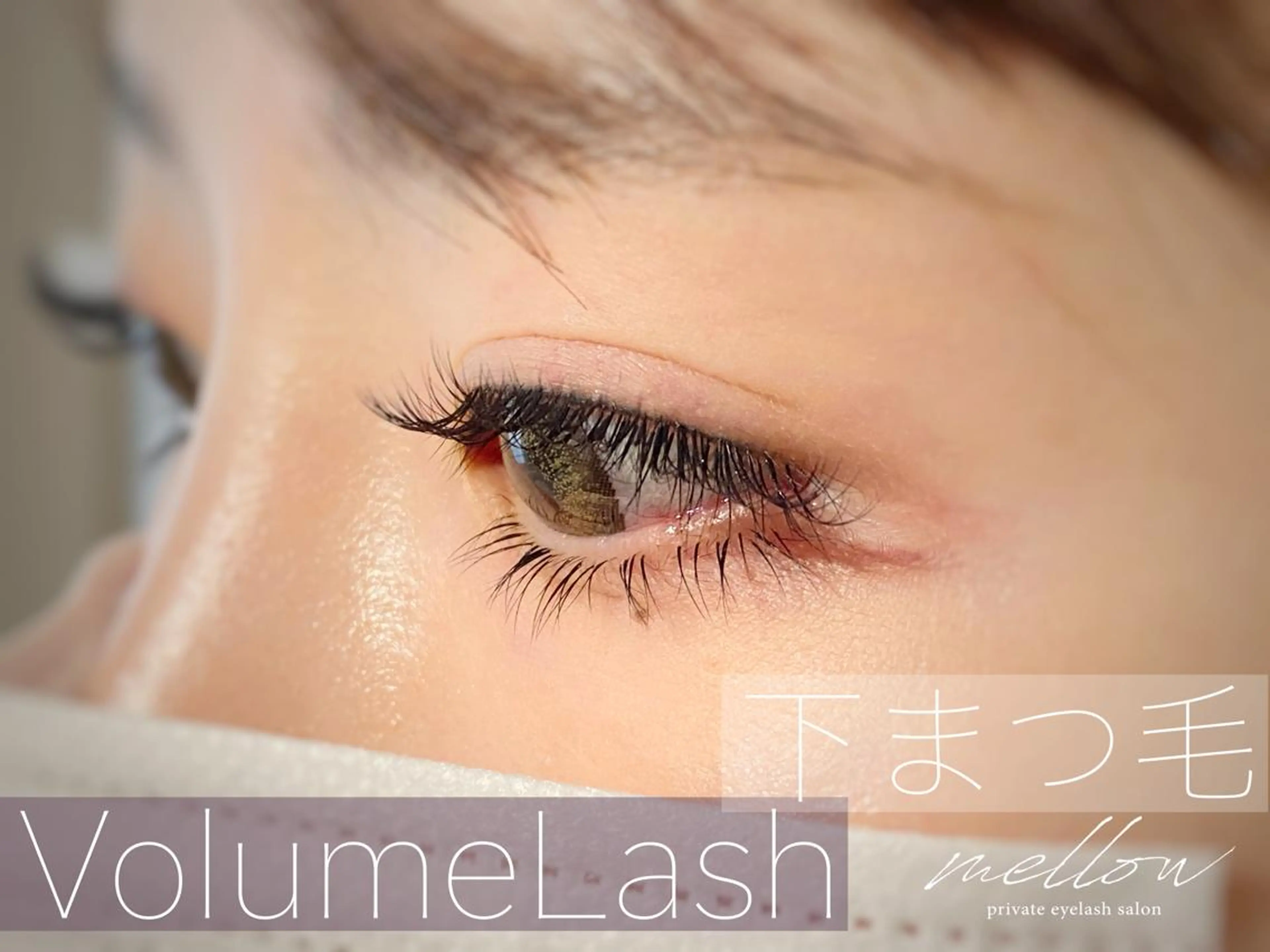 マツエク・マツパ 付け放題 下まつげエクステ ボリュームラッシュ mellow eyelashのマツエク・マツパデザイン