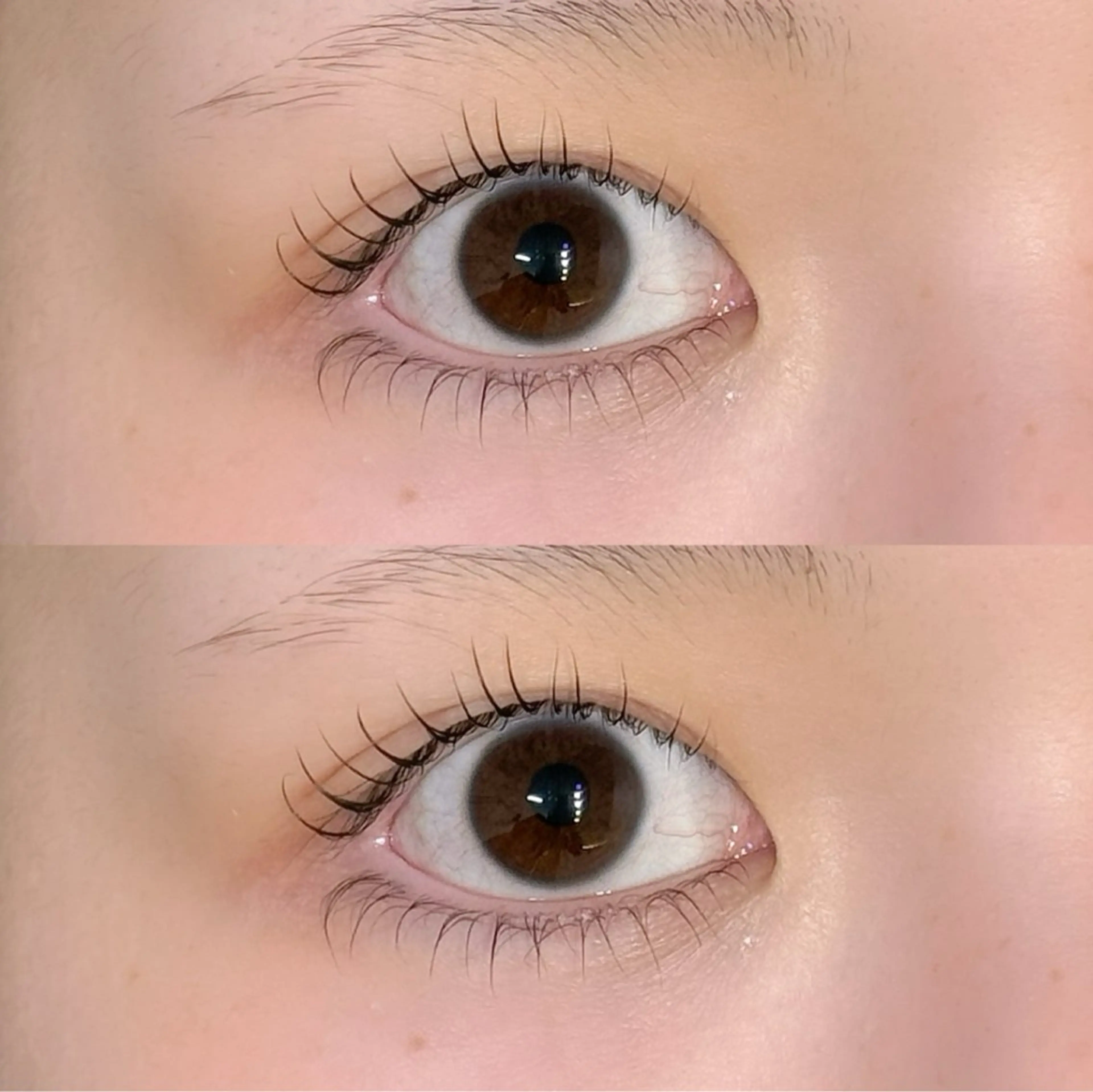 マツパ上下の写真