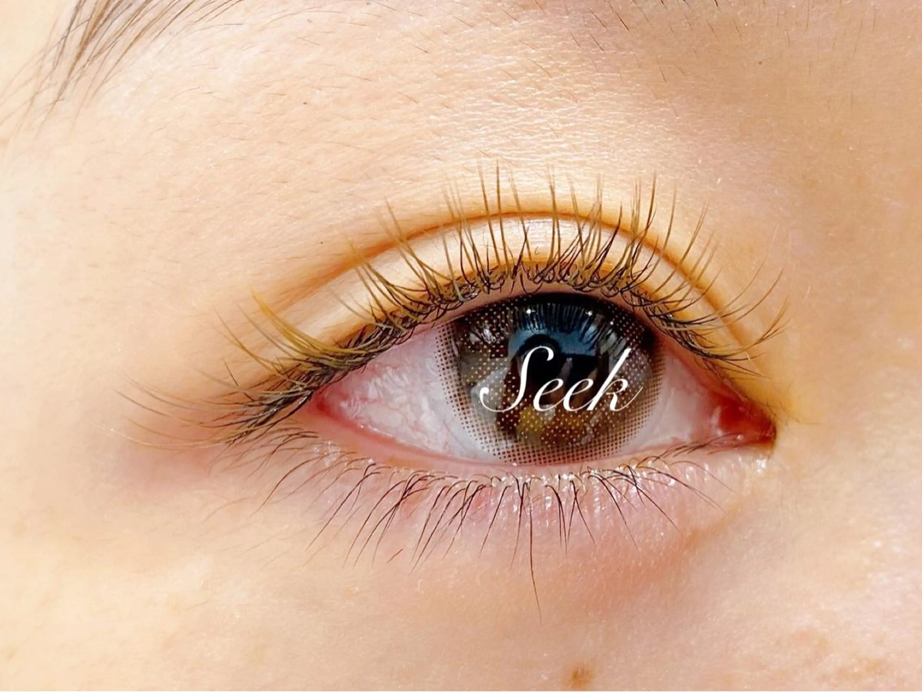 マツエク・マツパ Seek lash&browのエステ・リラクイメージ