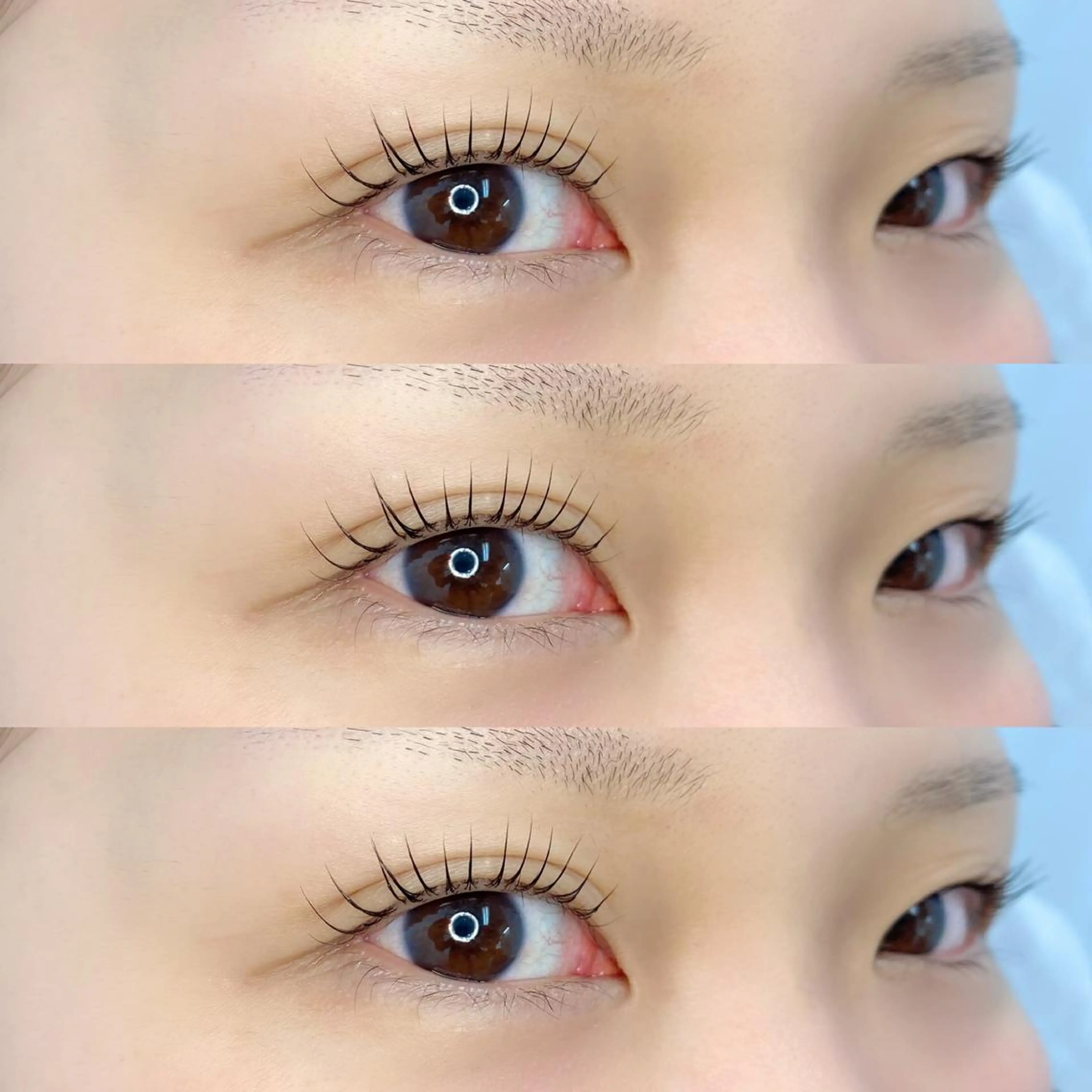 マツエク・マツパ パリジェンヌラッシュリフト LAND【ランド】 小鹿のマツエク・マツパデザイン