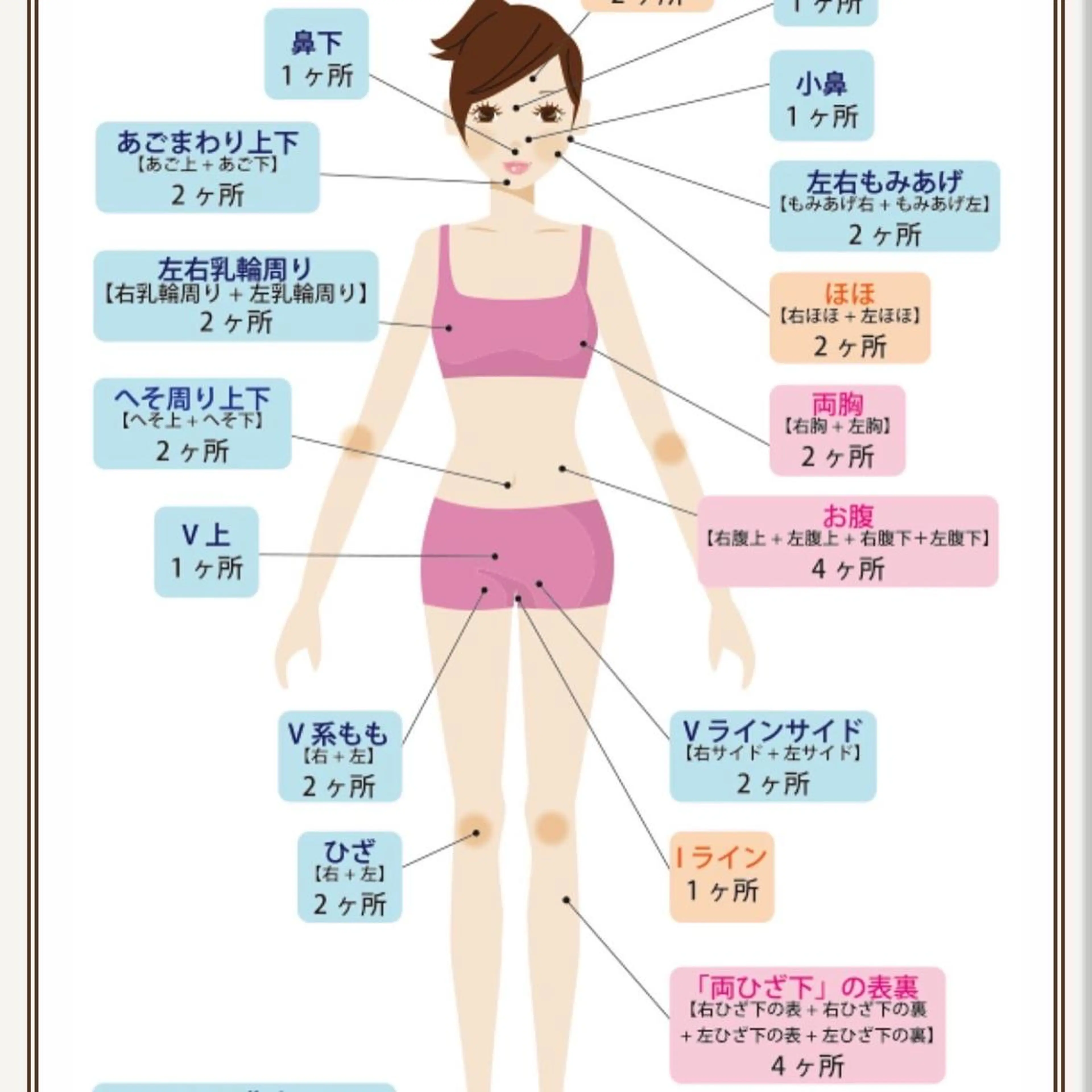 レディース脱毛🎀全身脱毛　高性能マシン使用で早い痛くない脱毛可能　濃い毛も効果的にやっつけます‼️の写真