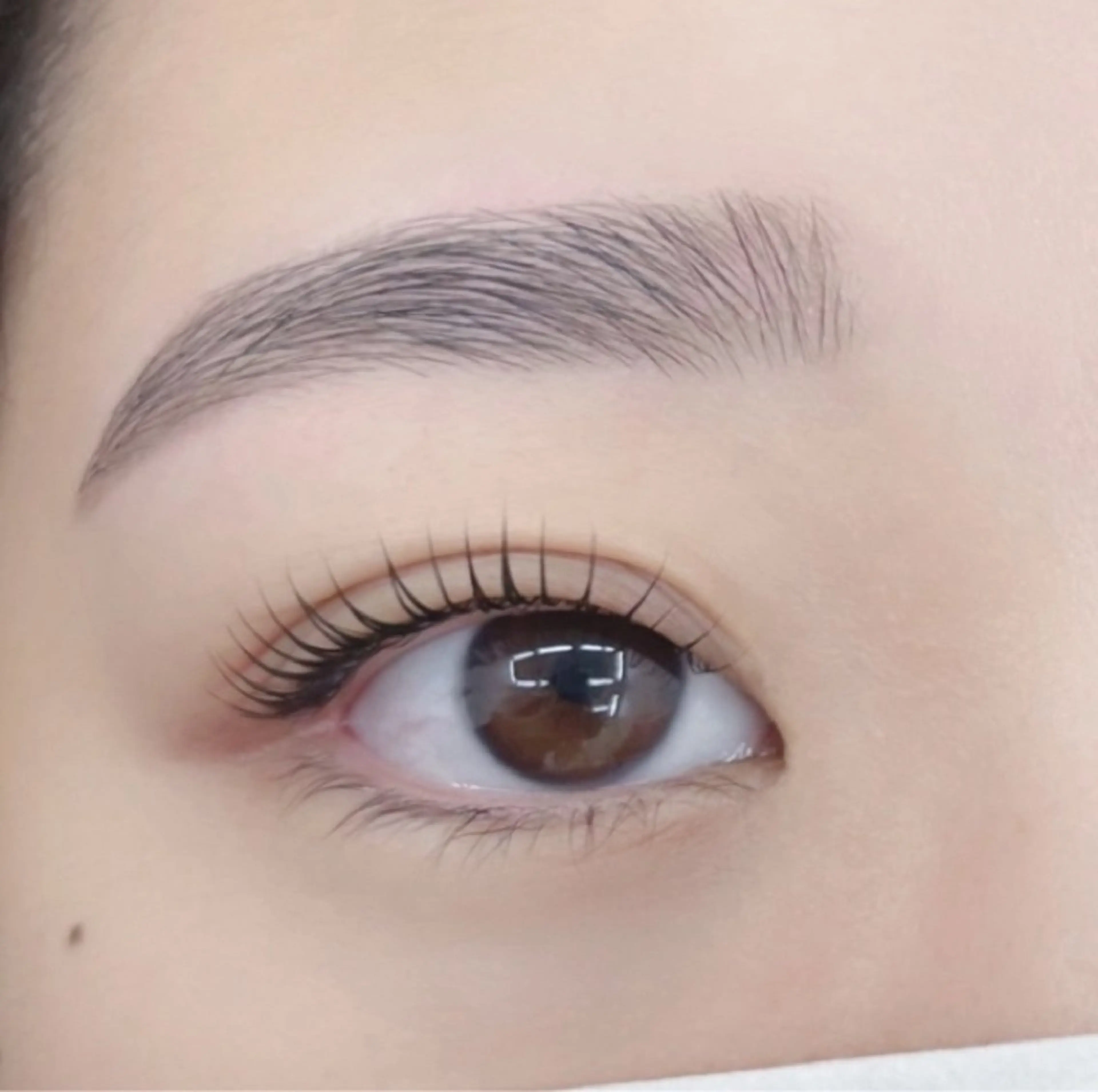 アイブロウ ワックス脱毛 眉カット その他(アイブロウ) Bianca 武蔵小金井🫧たなかのマツエク・マツパデザイン