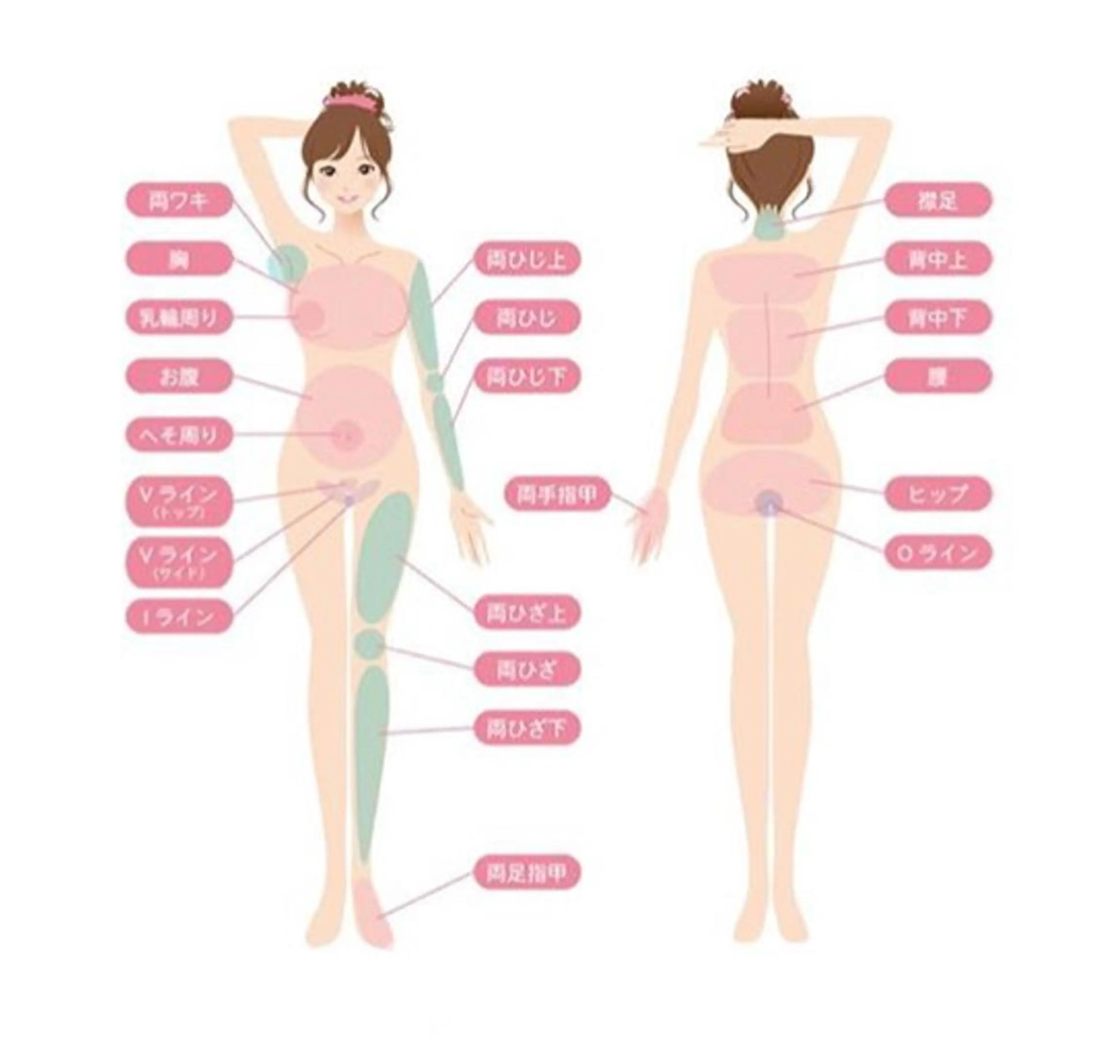 バスト体験 ナトゥーラチュチュのエステ・リラクイメージ