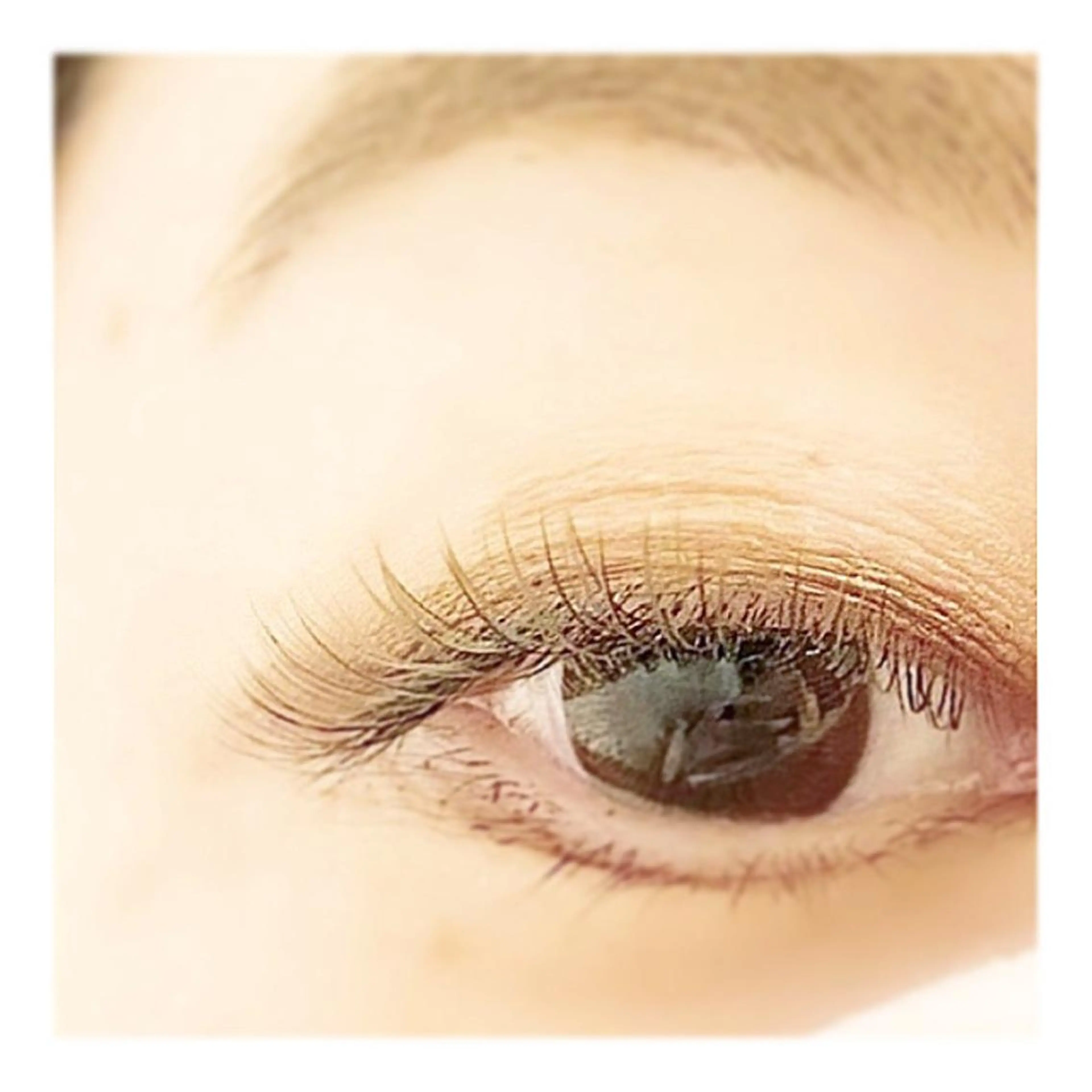 マツエク・マツパ カラーマツエク えんとゆかり　千歳船橋所属・AYANO &　YUKAのマツエク・マツパデザイン