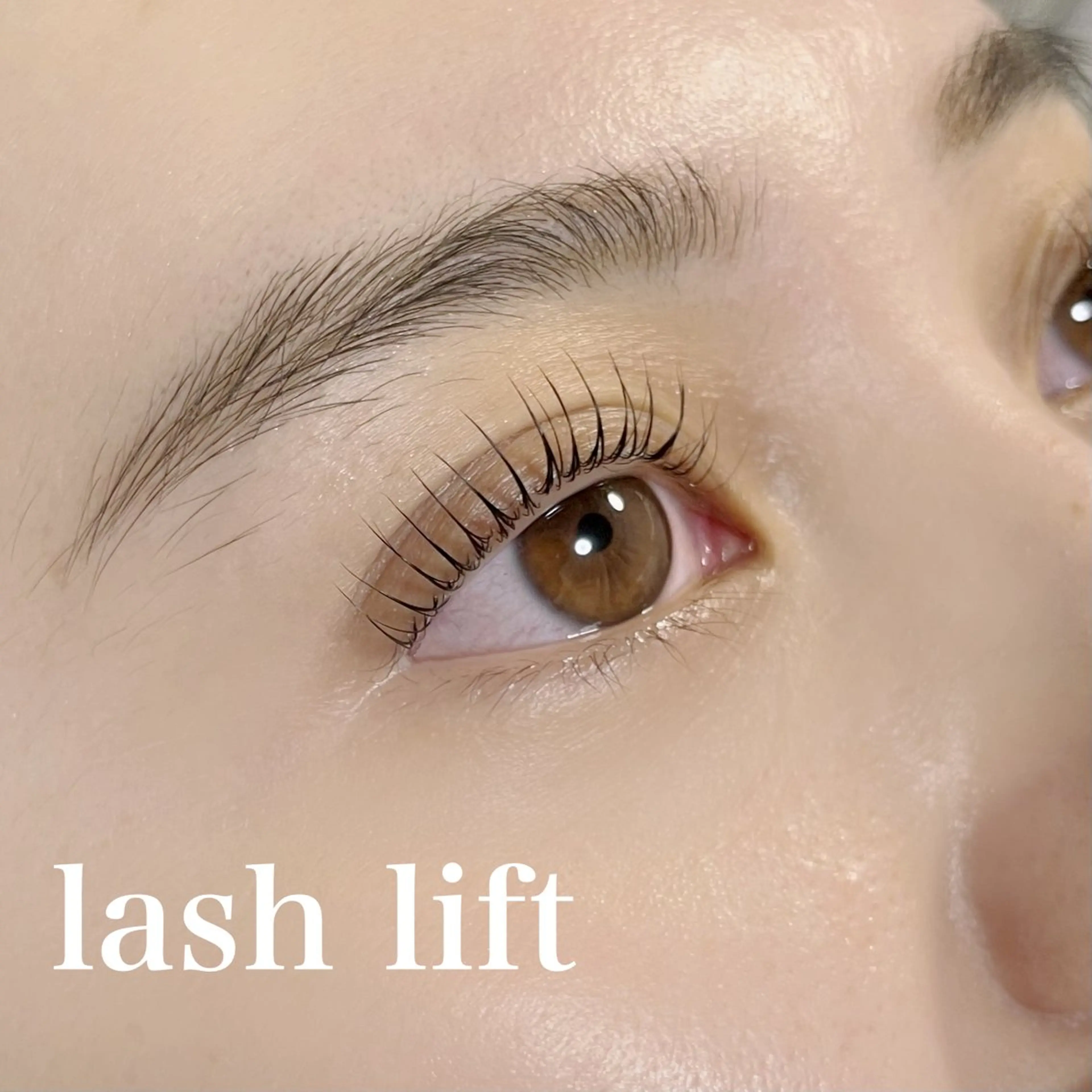 【U24学生限定】ラッシュリフト＋アイブロウWAX🩵の写真