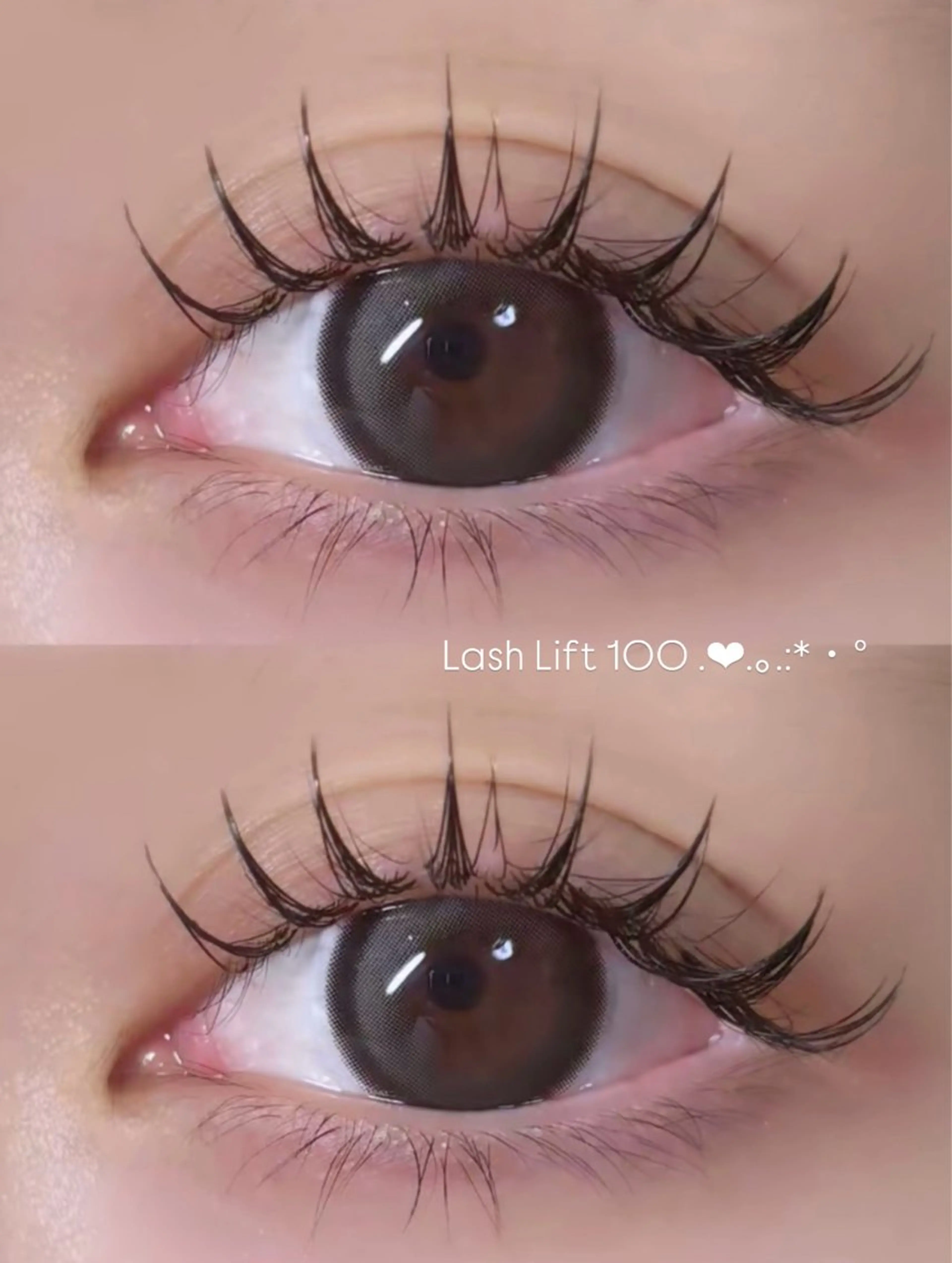 🎀フラットラッシュ100本🎀の写真