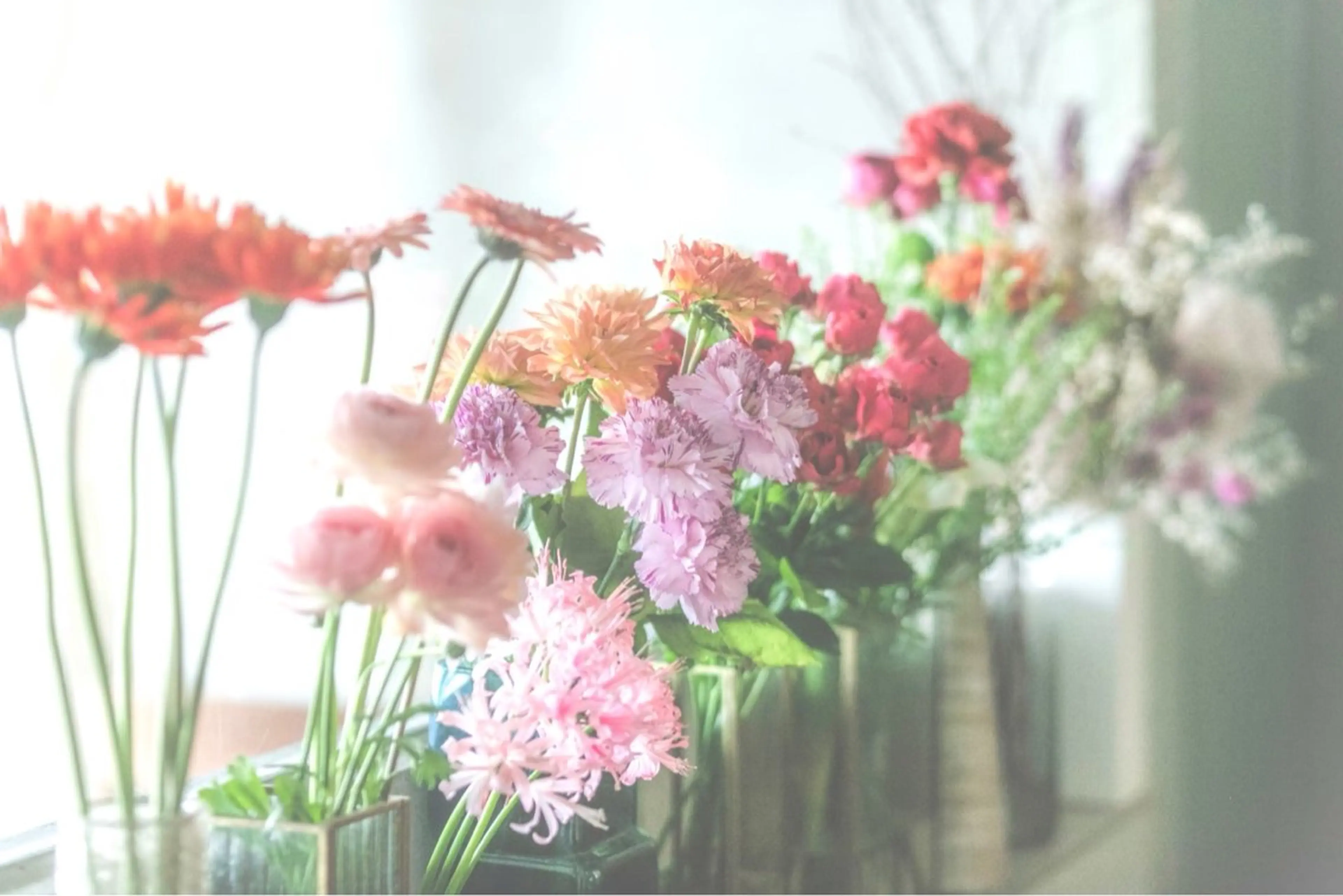 "相談メニュー" 1時間⏳の写真