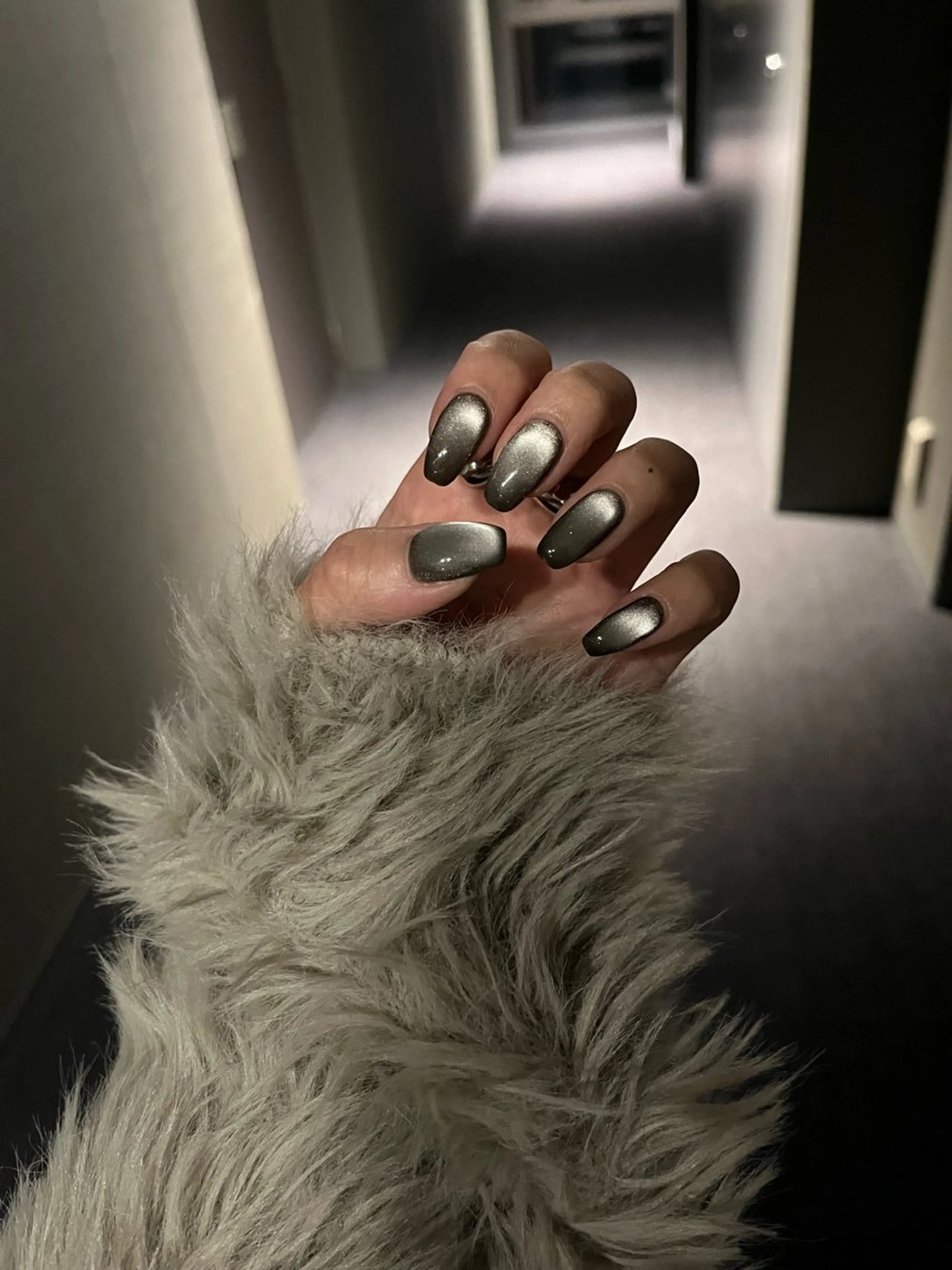 マグネットの写真