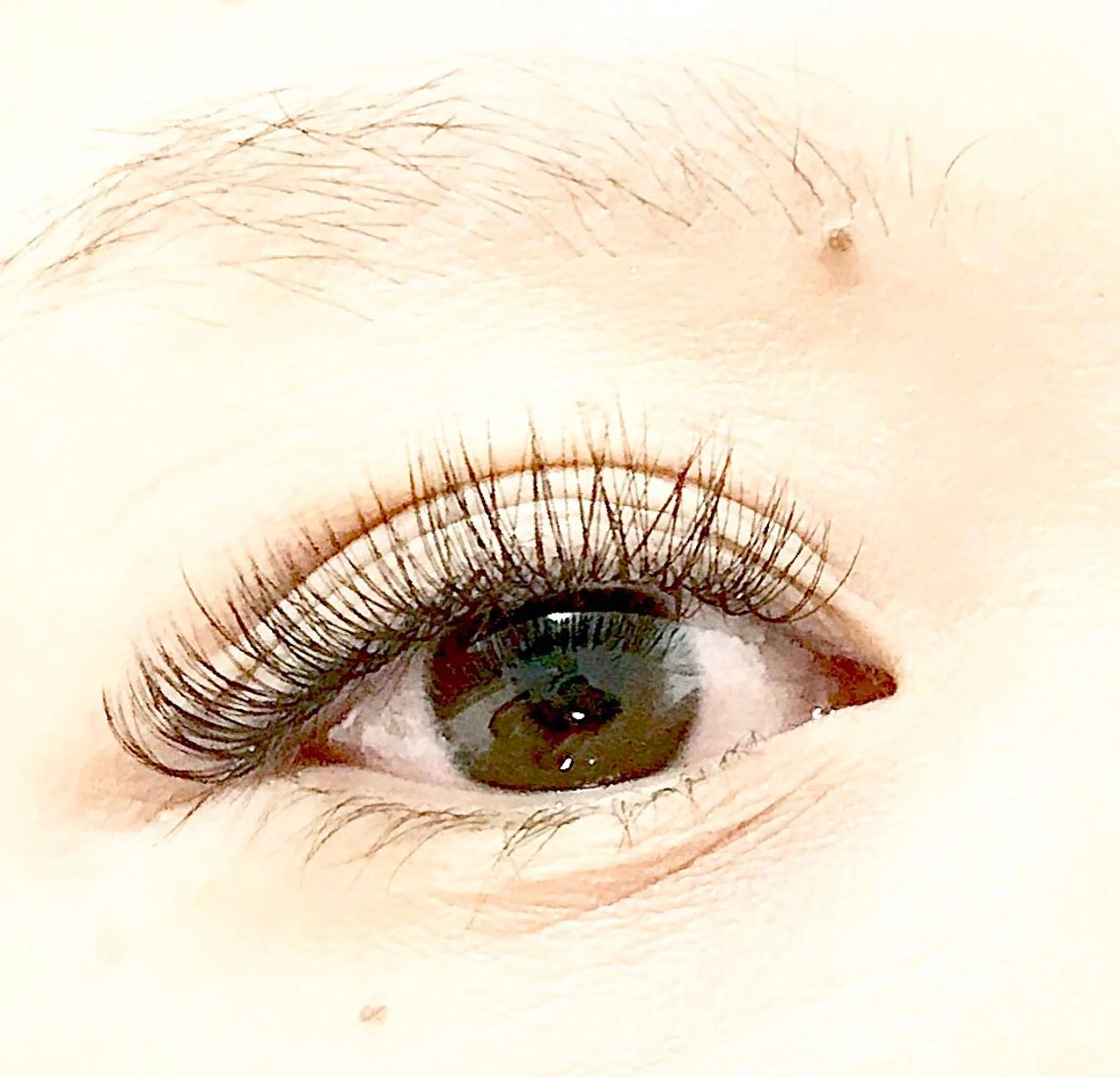 マツエク・マツパ LATTE eyelashのマツエク・マツパデザイン
